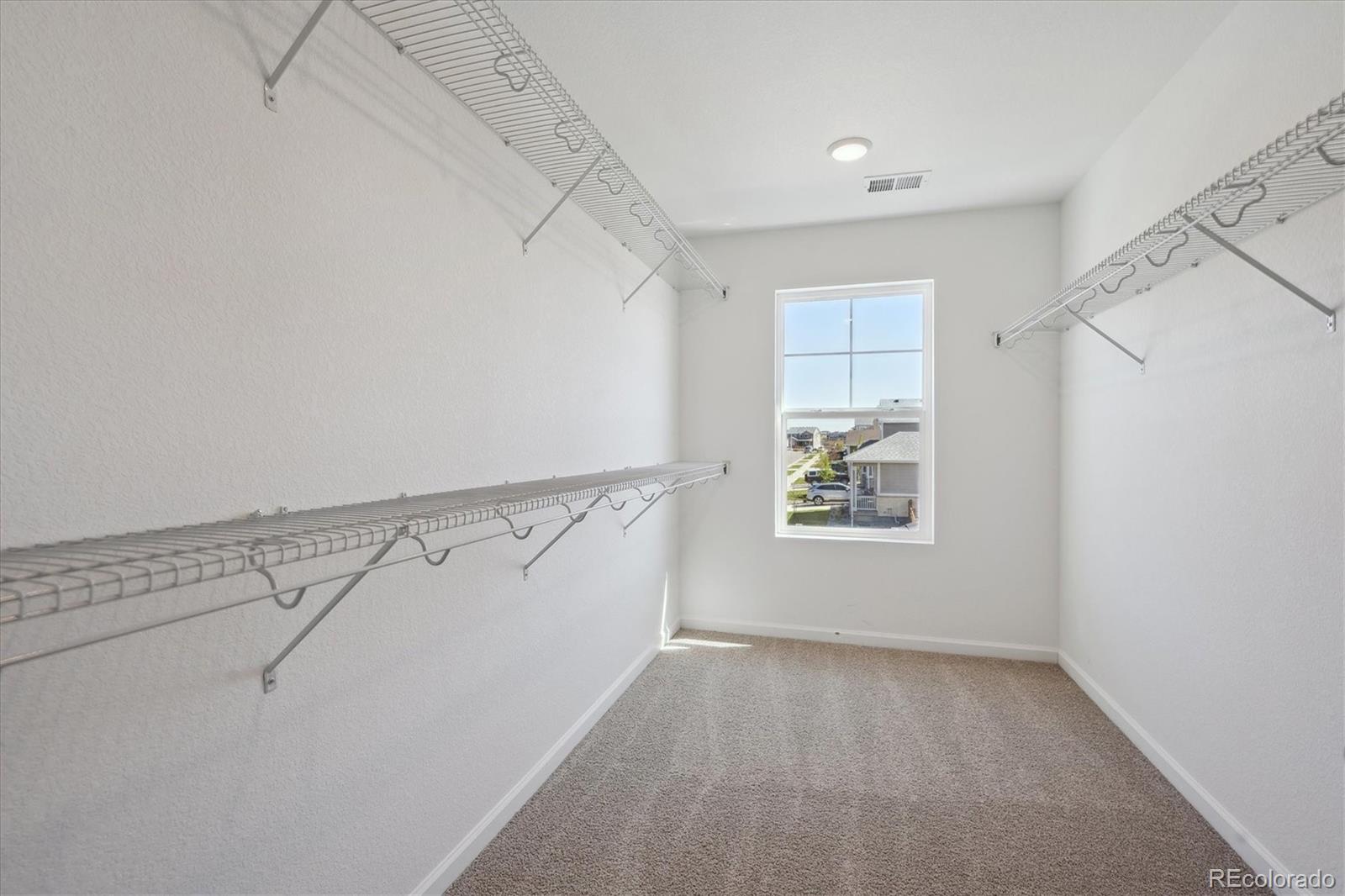 MLS Image #14 for 1331  rock cliff avenue,erie, Colorado