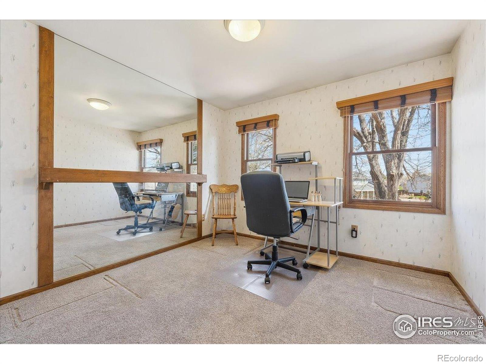 MLS Image #21 for 1501  quail hollow court,fort collins, Colorado