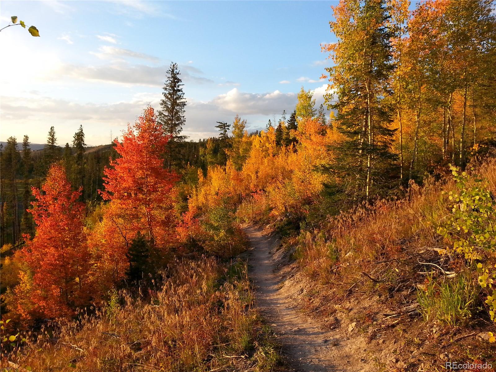 MLS Image #21 for 150  village road,granby, Colorado