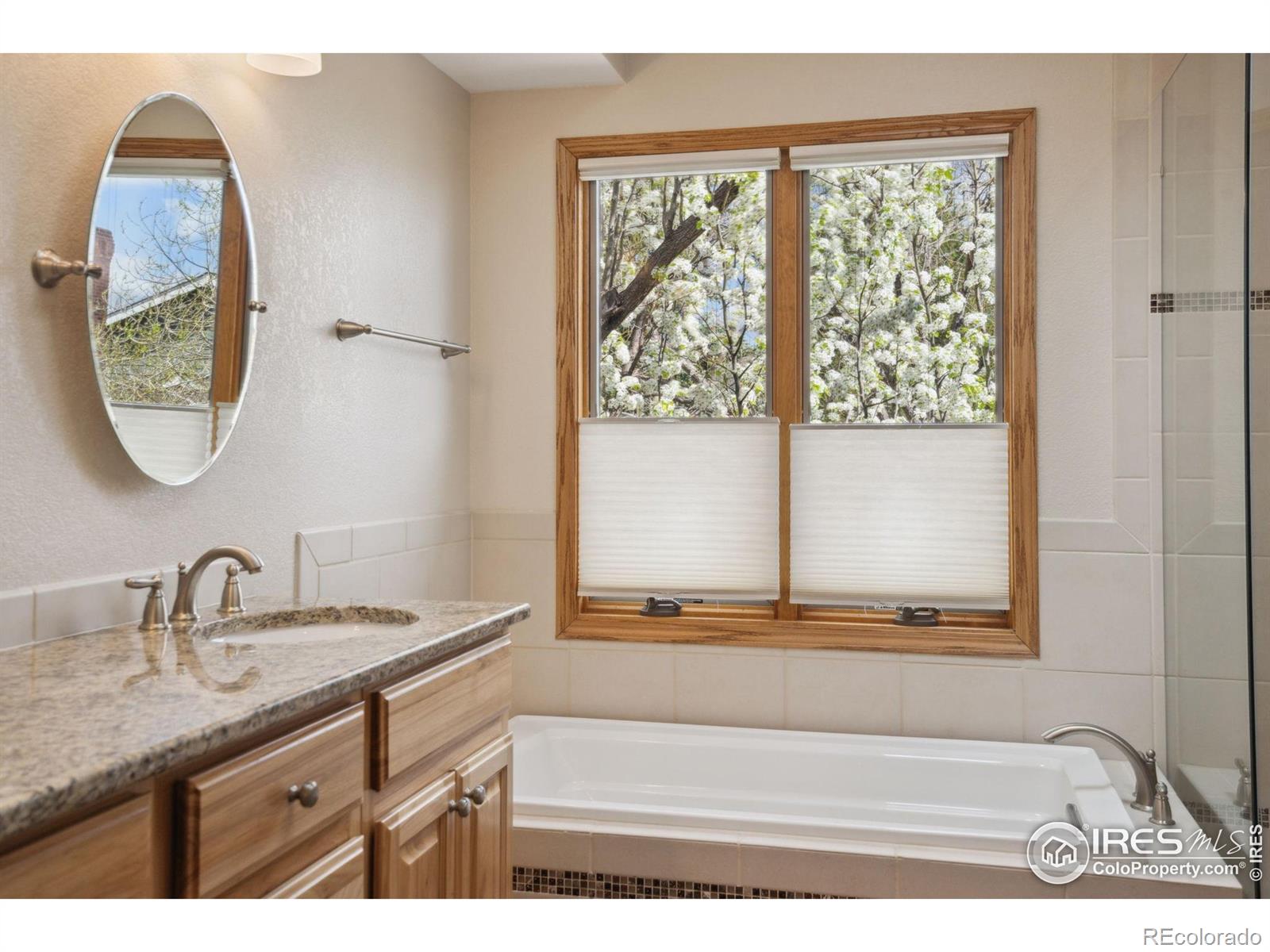 MLS Image #20 for 1424  barberry drive,fort collins, Colorado