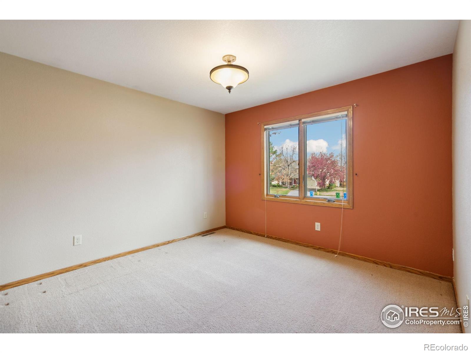 MLS Image #24 for 1424  barberry drive,fort collins, Colorado