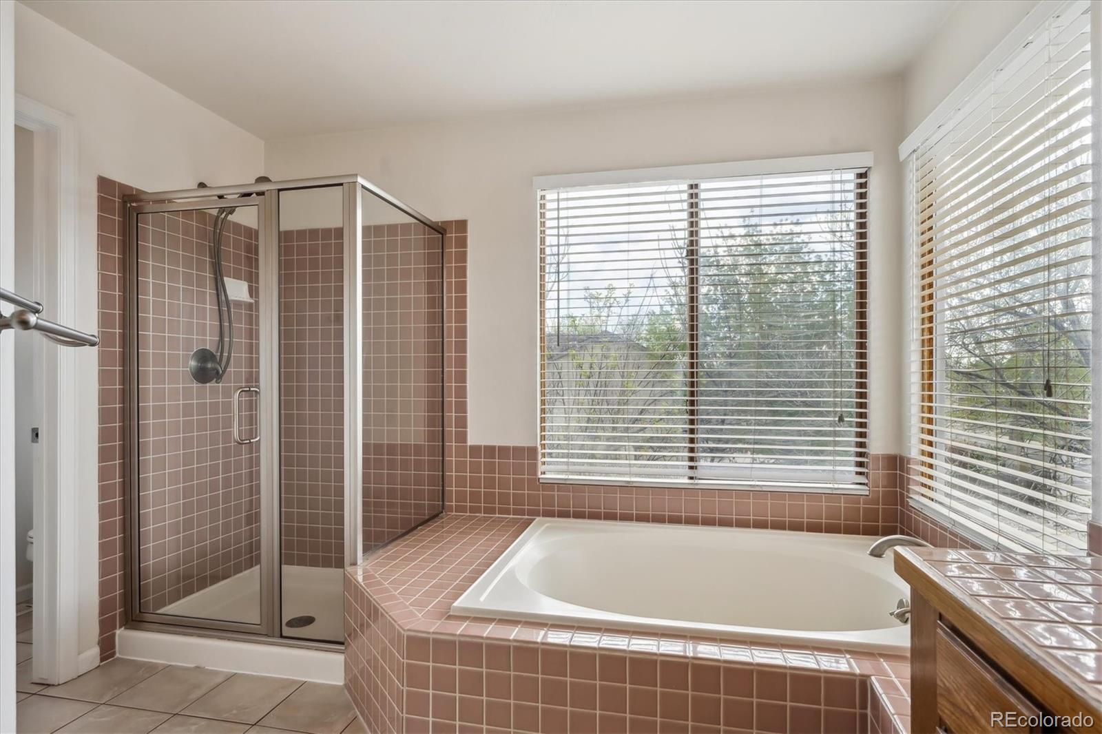 MLS Image #28 for 4290  cottonwood lakes boulevard,thornton, Colorado