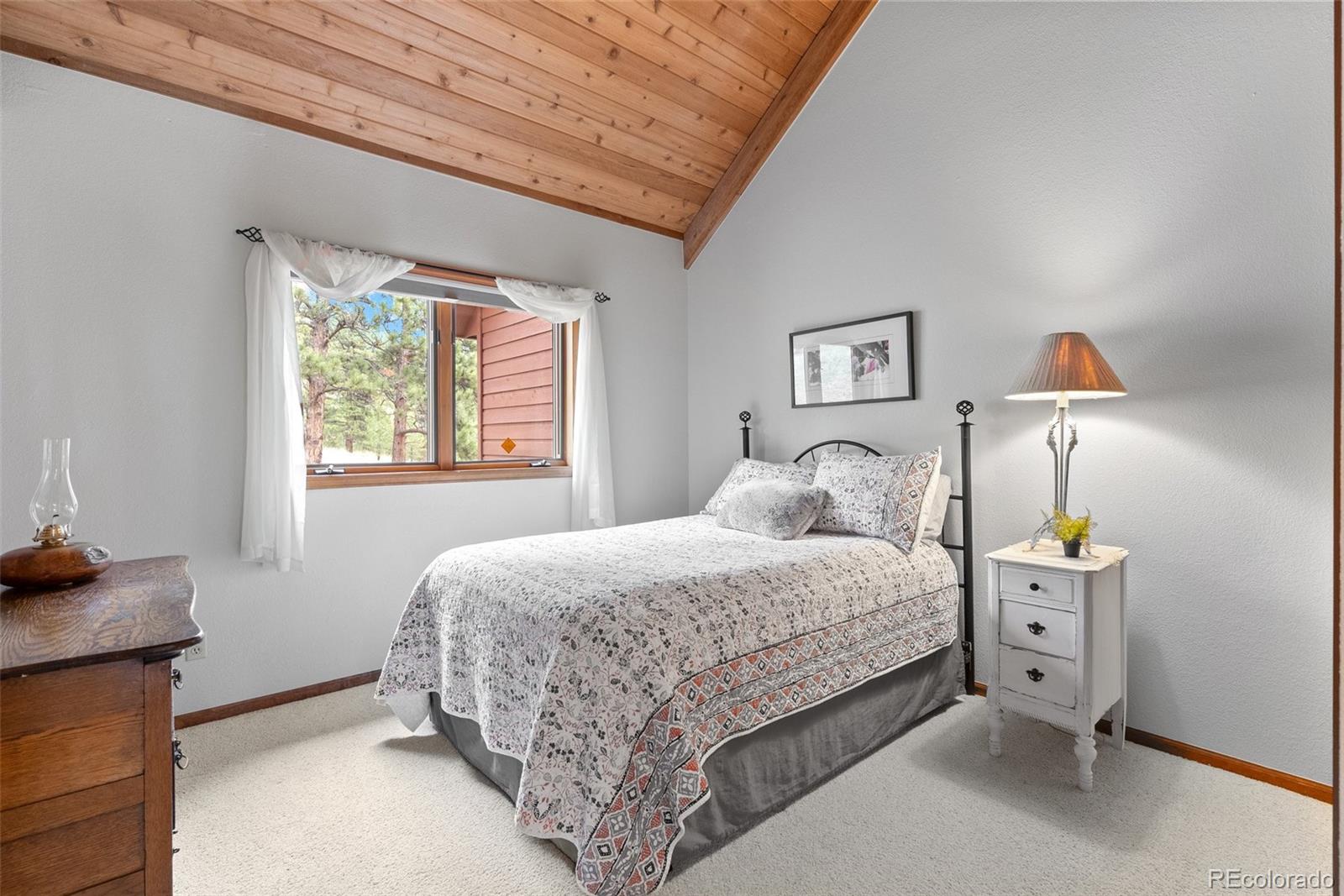 MLS Image #16 for 665  meadow drive,pine, Colorado