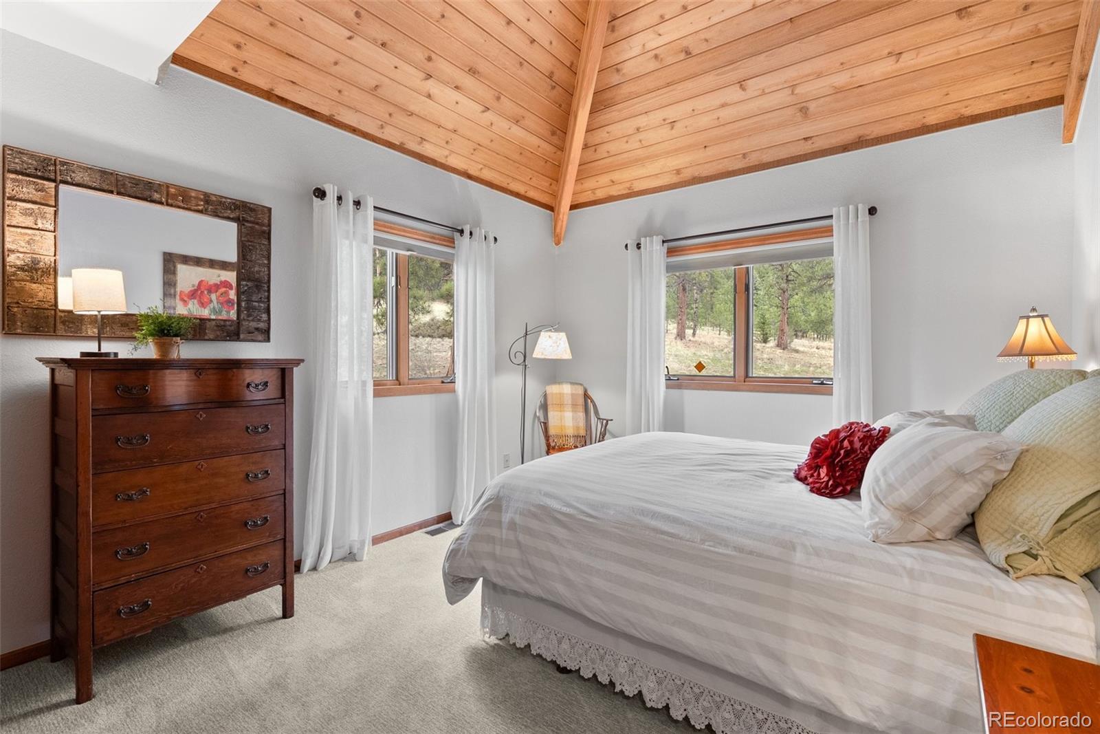 MLS Image #19 for 665  meadow drive,pine, Colorado