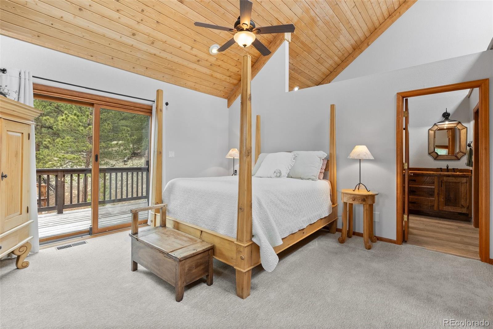 MLS Image #22 for 665  meadow drive,pine, Colorado