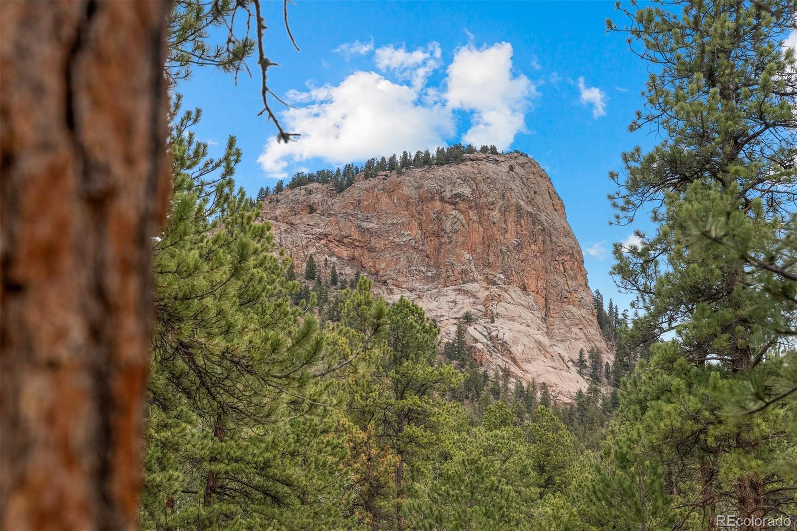 MLS Image #42 for 665  meadow drive,pine, Colorado