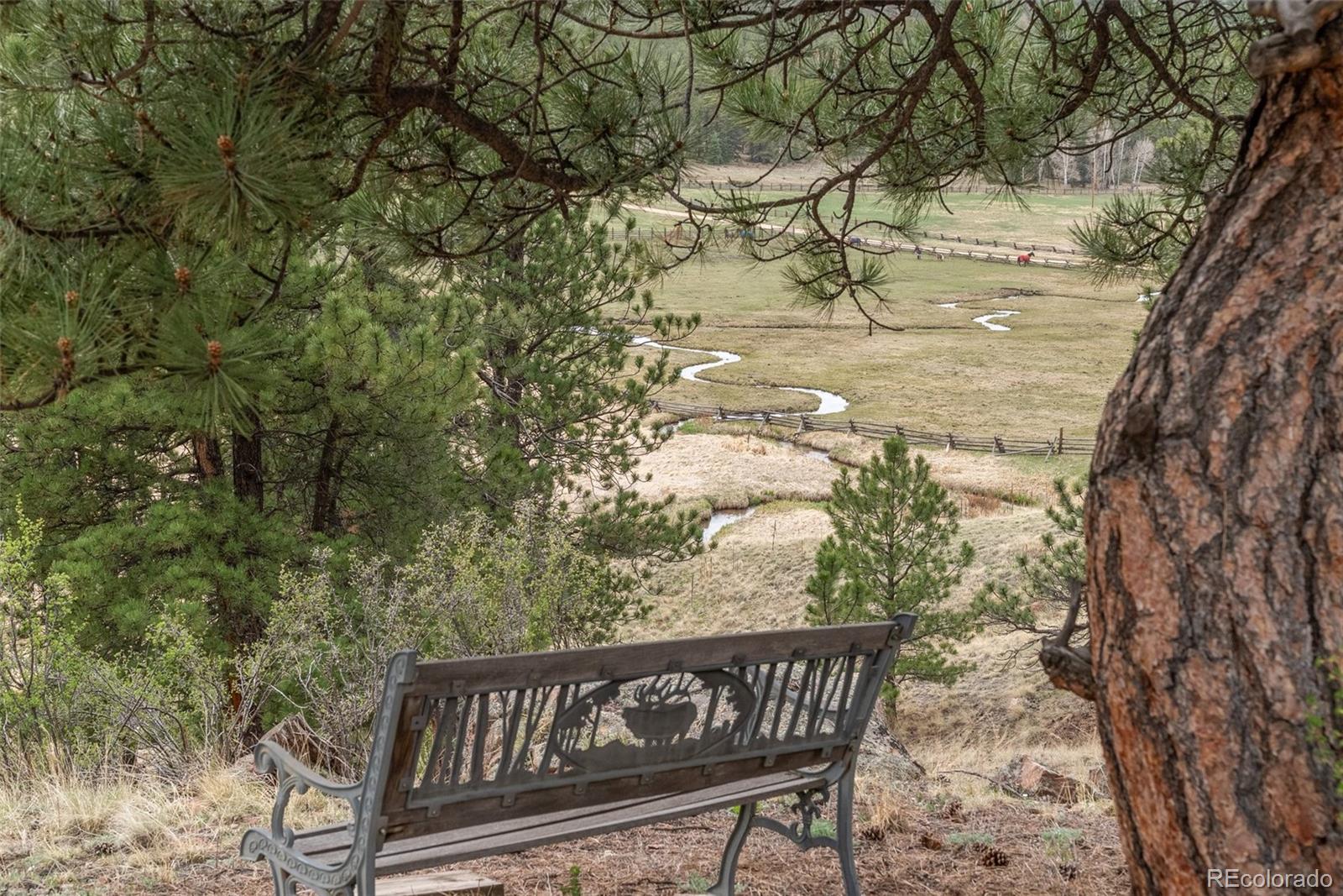 MLS Image #45 for 665  meadow drive,pine, Colorado
