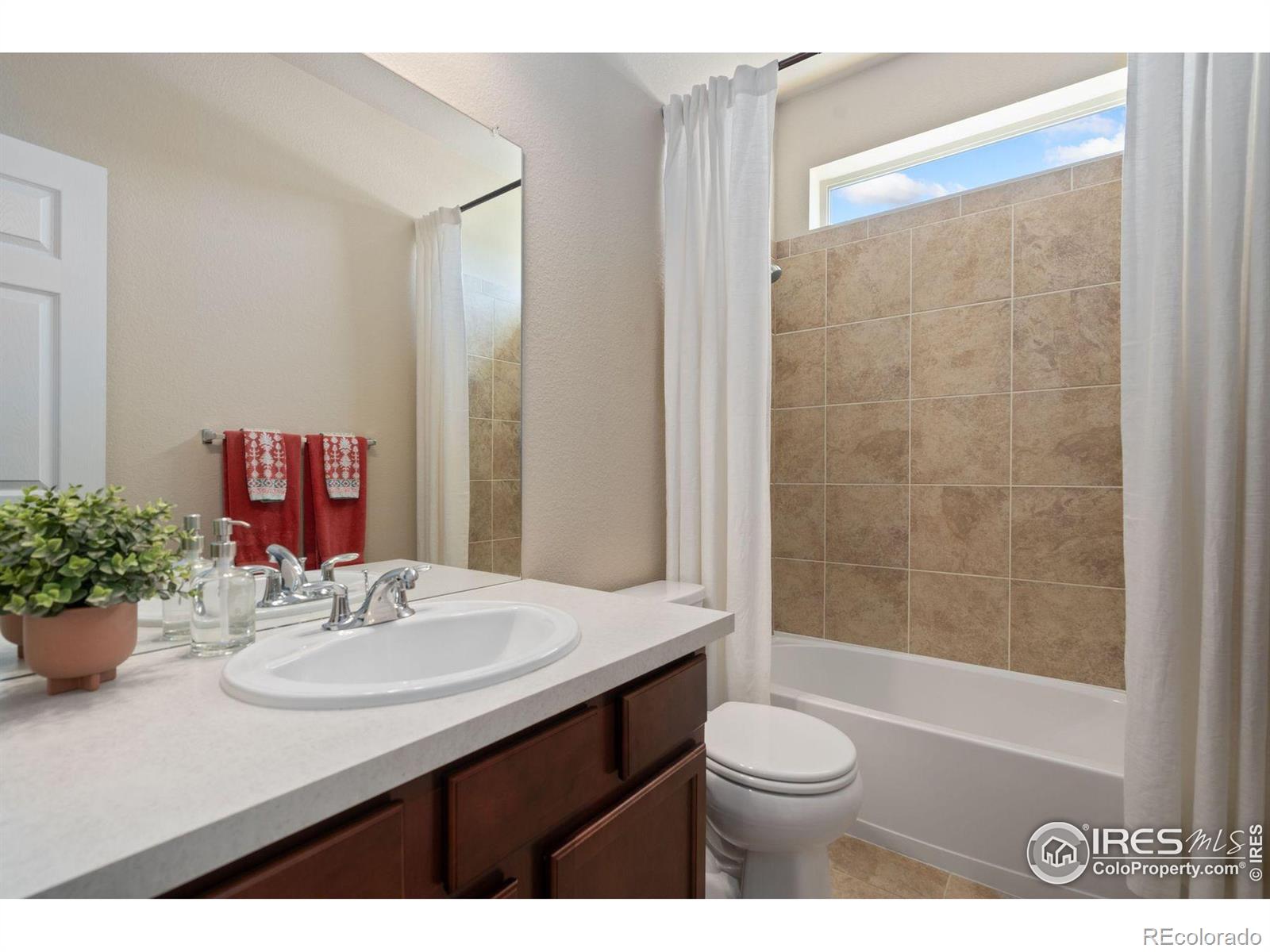 MLS Image #21 for 6503  snow bank drive,timnath, Colorado