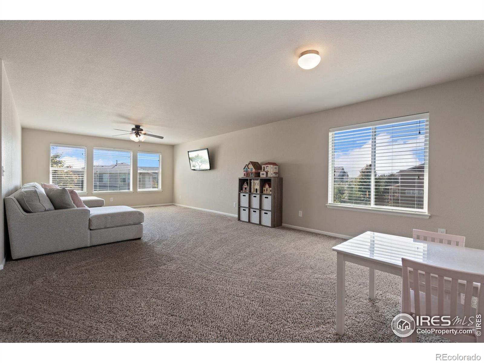MLS Image #23 for 6503  snow bank drive,timnath, Colorado
