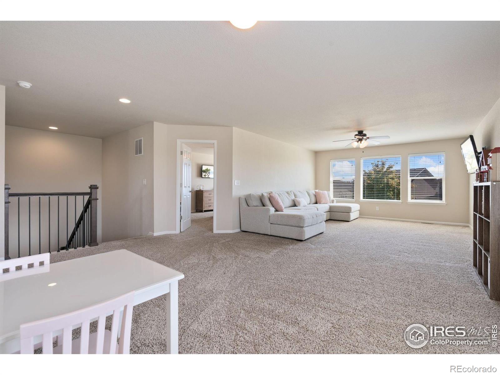 MLS Image #24 for 6503  snow bank drive,timnath, Colorado