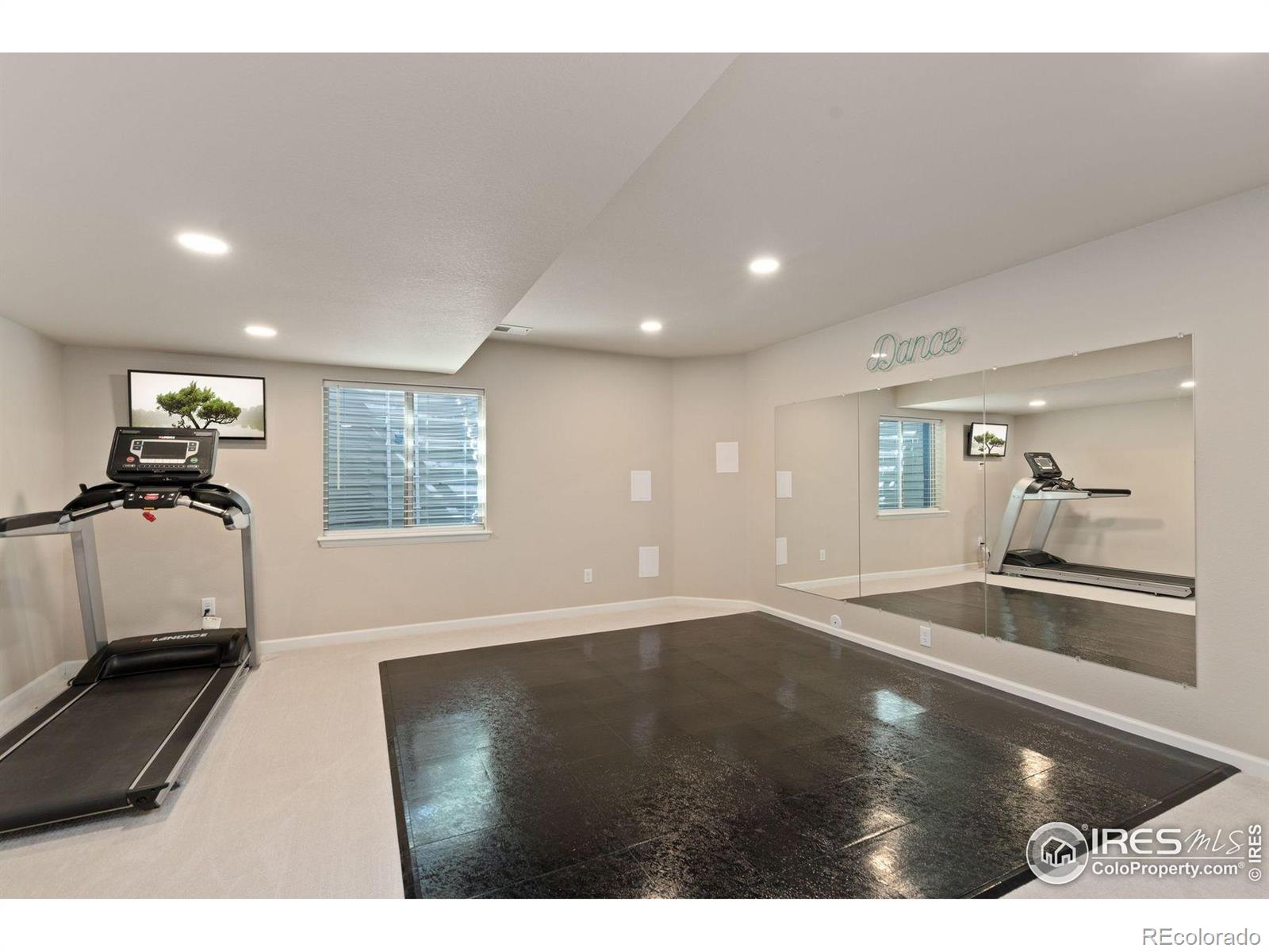 MLS Image #36 for 6503  snow bank drive,timnath, Colorado