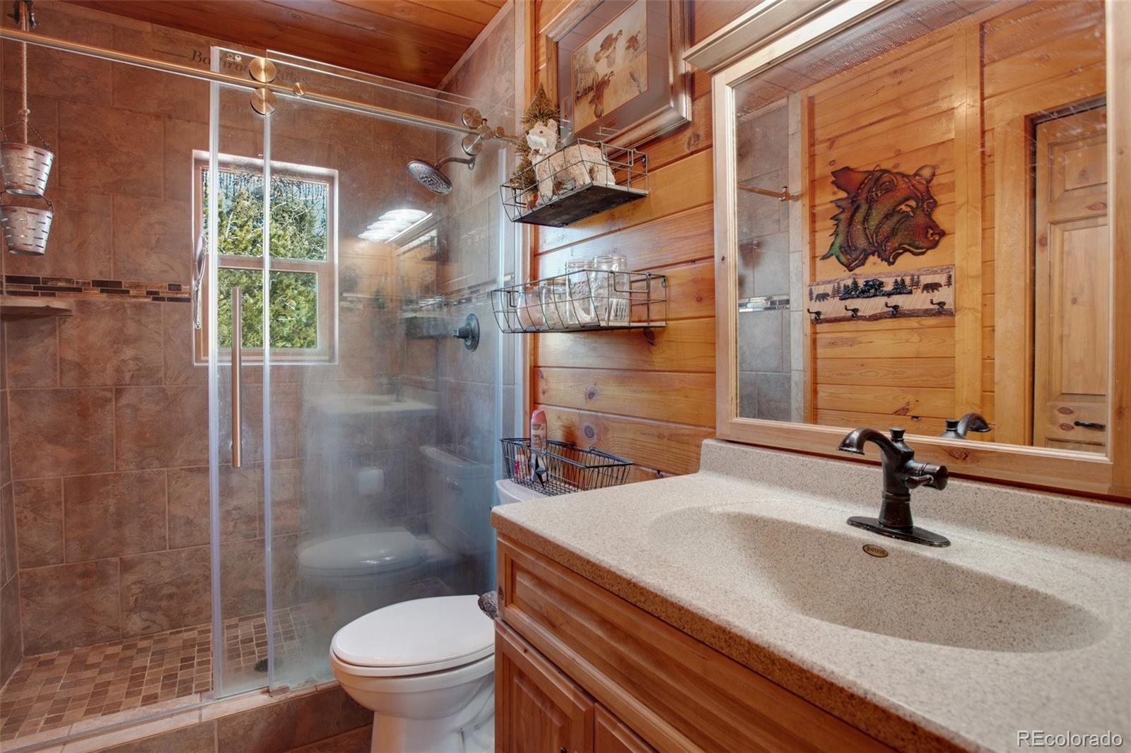 MLS Image #19 for 429  gentian road,woodland park, Colorado