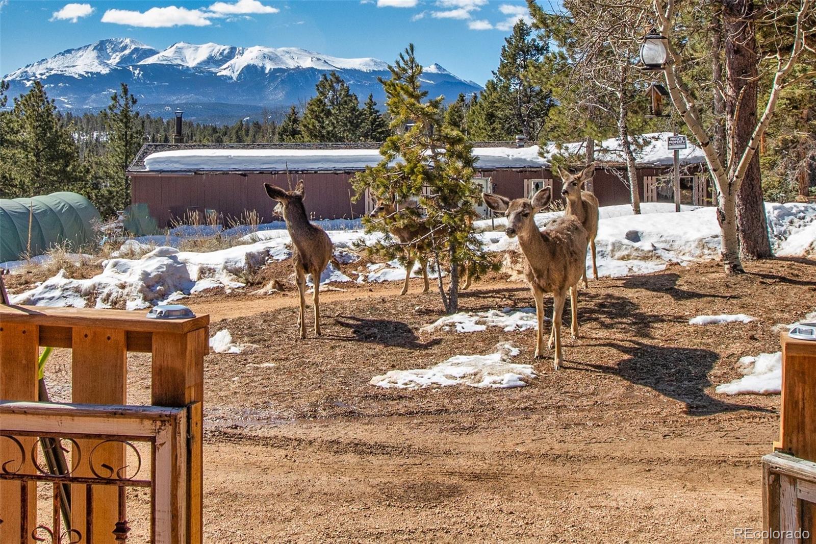 MLS Image #21 for 429  gentian road,woodland park, Colorado