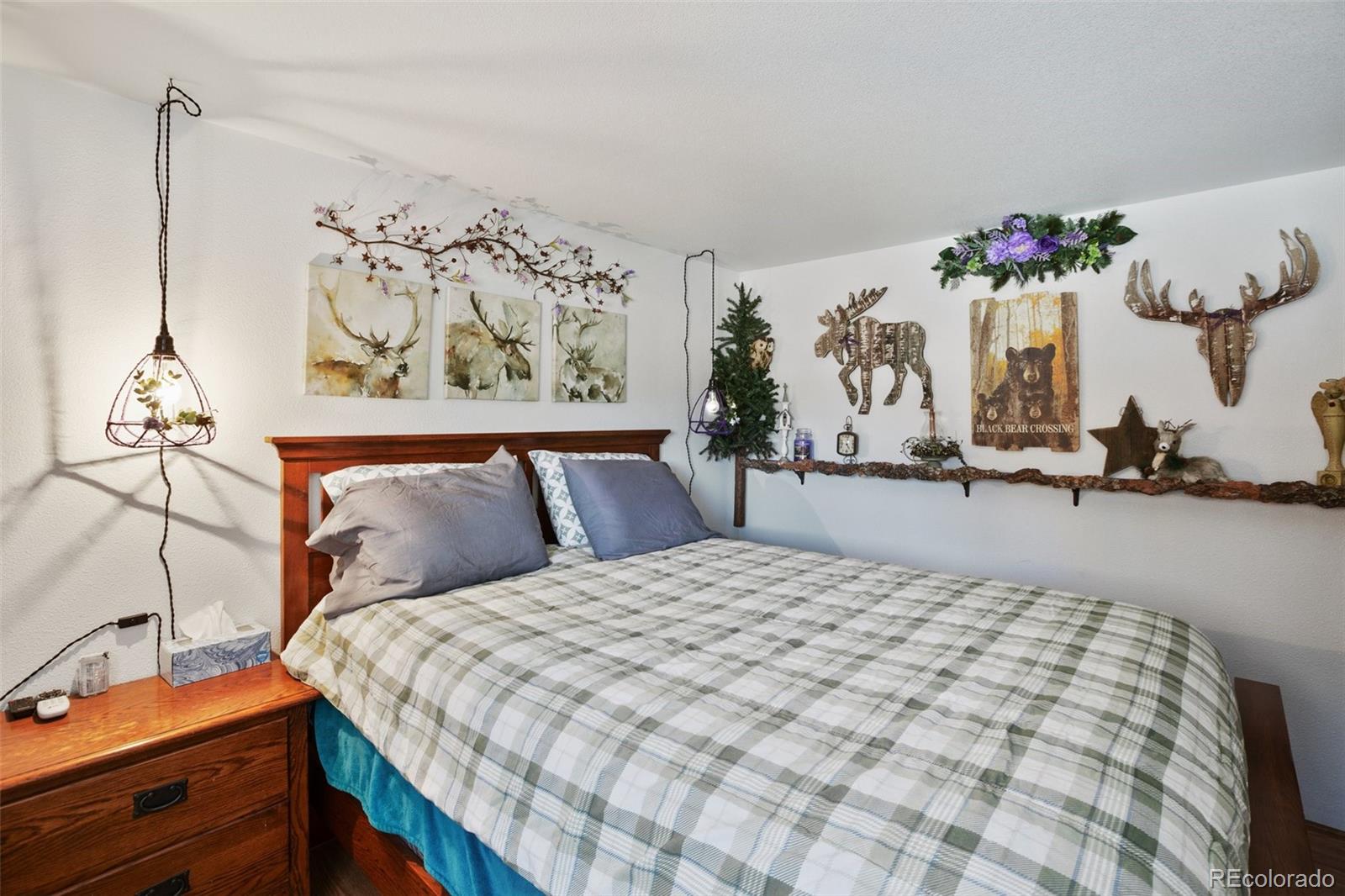 MLS Image #25 for 429  gentian road,woodland park, Colorado