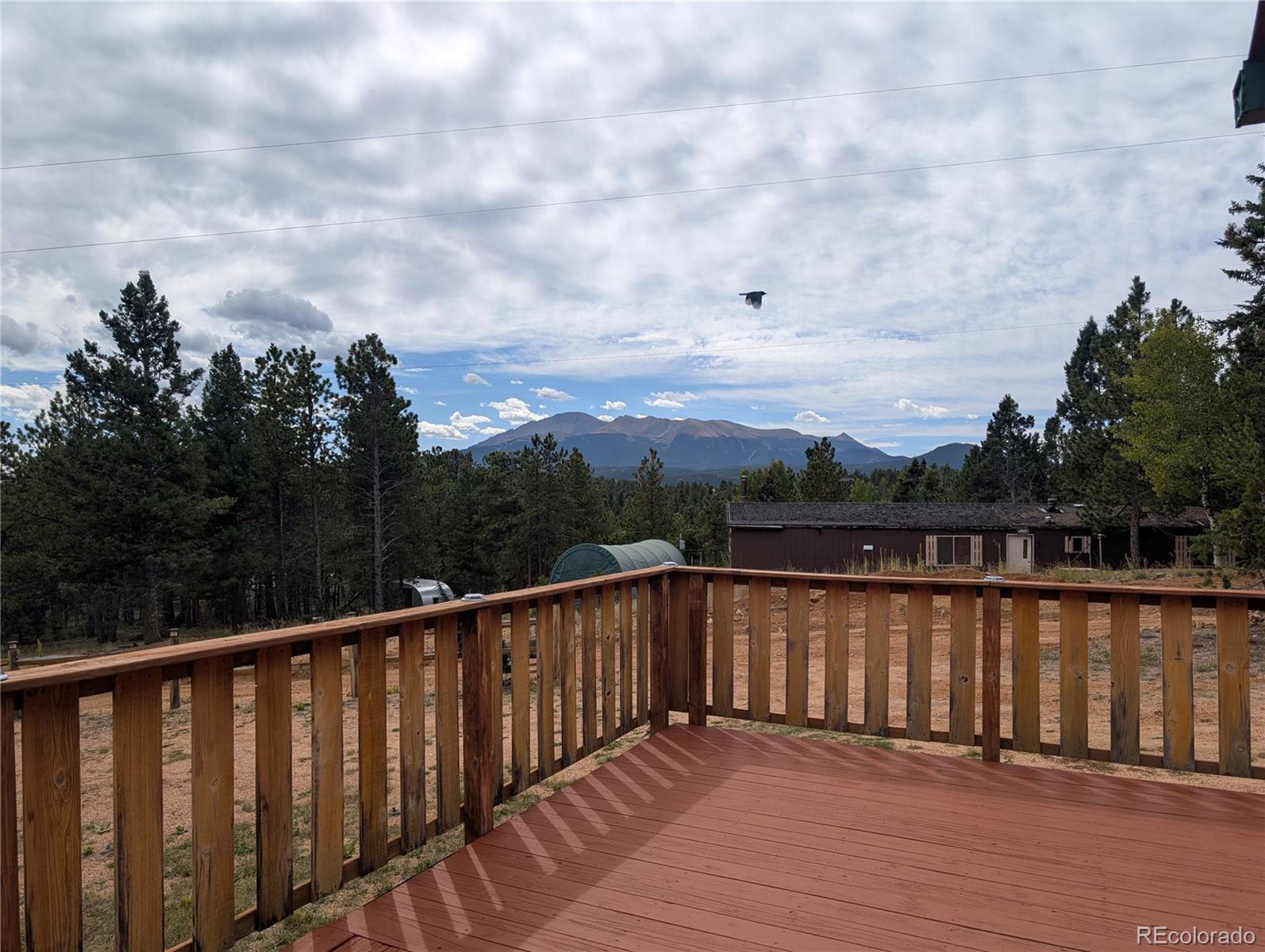 MLS Image #4 for 429  gentian road,woodland park, Colorado