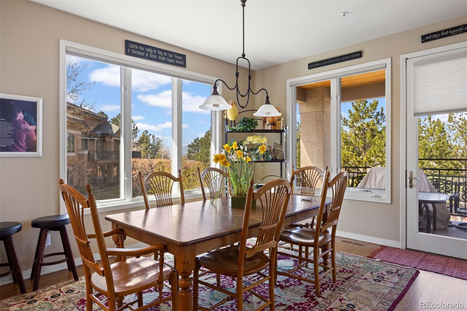 MLS Image #13 for 2907  fairway view court,castle rock, Colorado