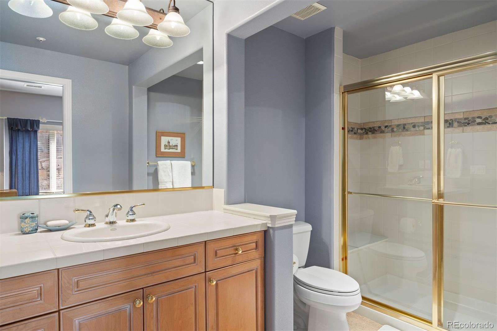 MLS Image #41 for 2907  fairway view court,castle rock, Colorado