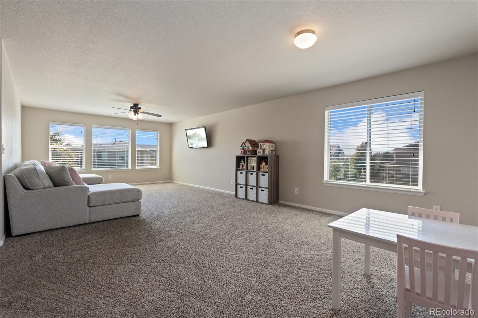 MLS Image #25 for 6503  snow bank drive,timnath, Colorado