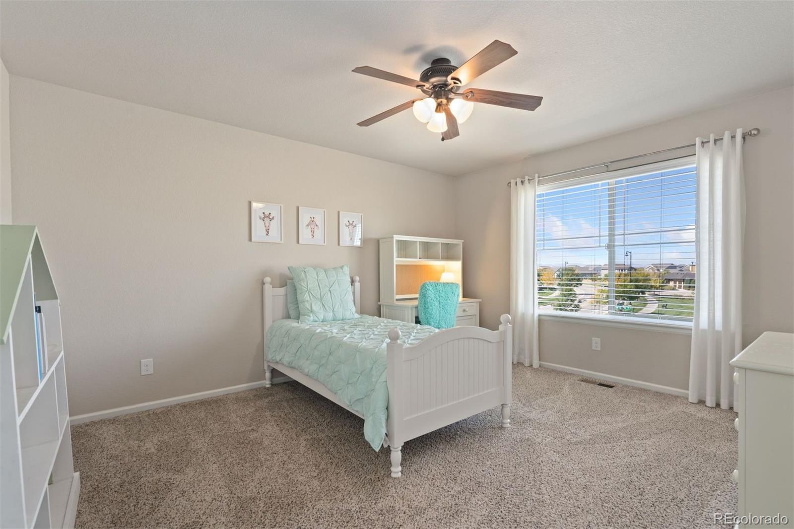 MLS Image #34 for 6503  snow bank drive,timnath, Colorado
