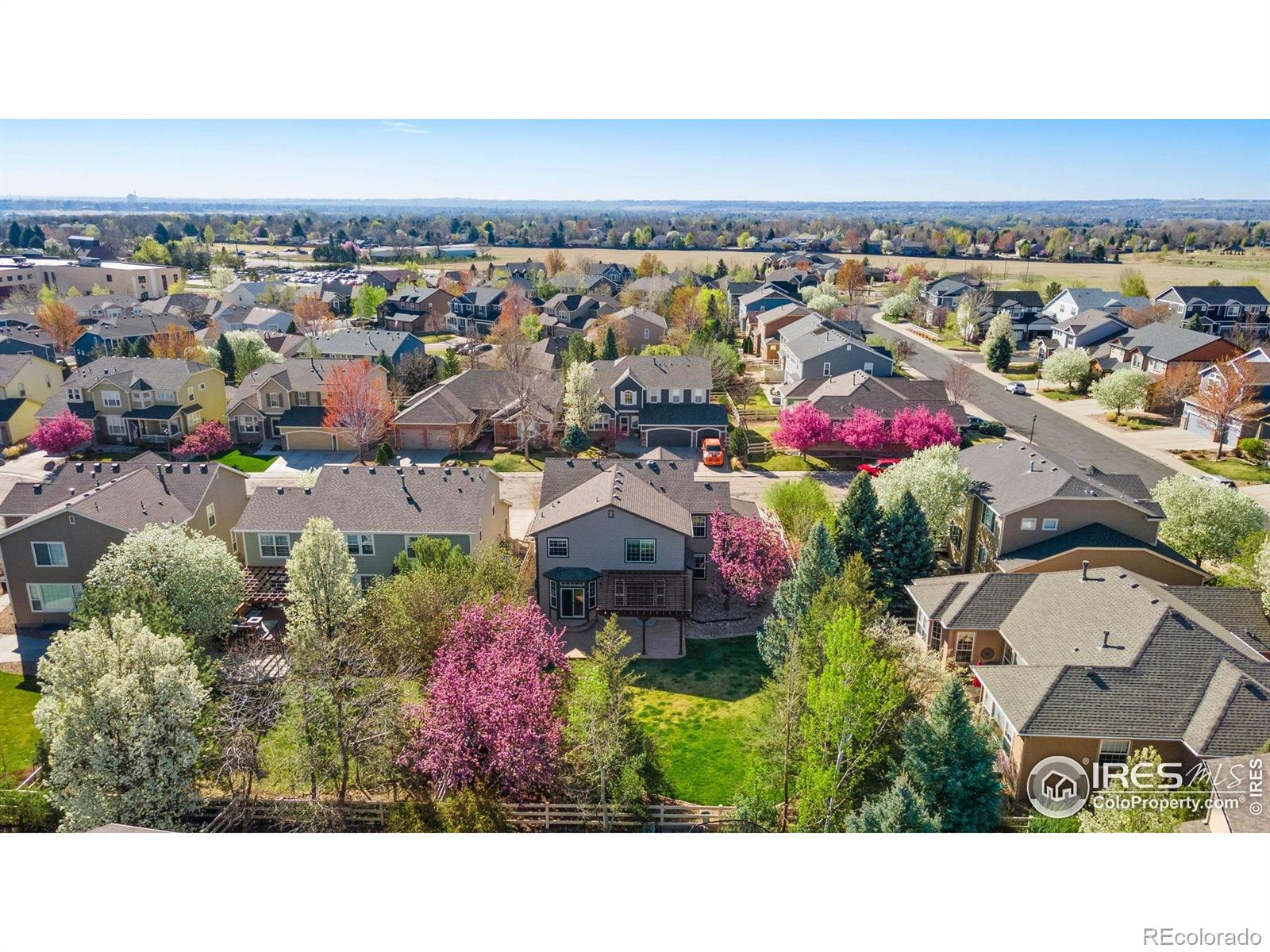 MLS Image #31 for 3281  calahan court,loveland, Colorado