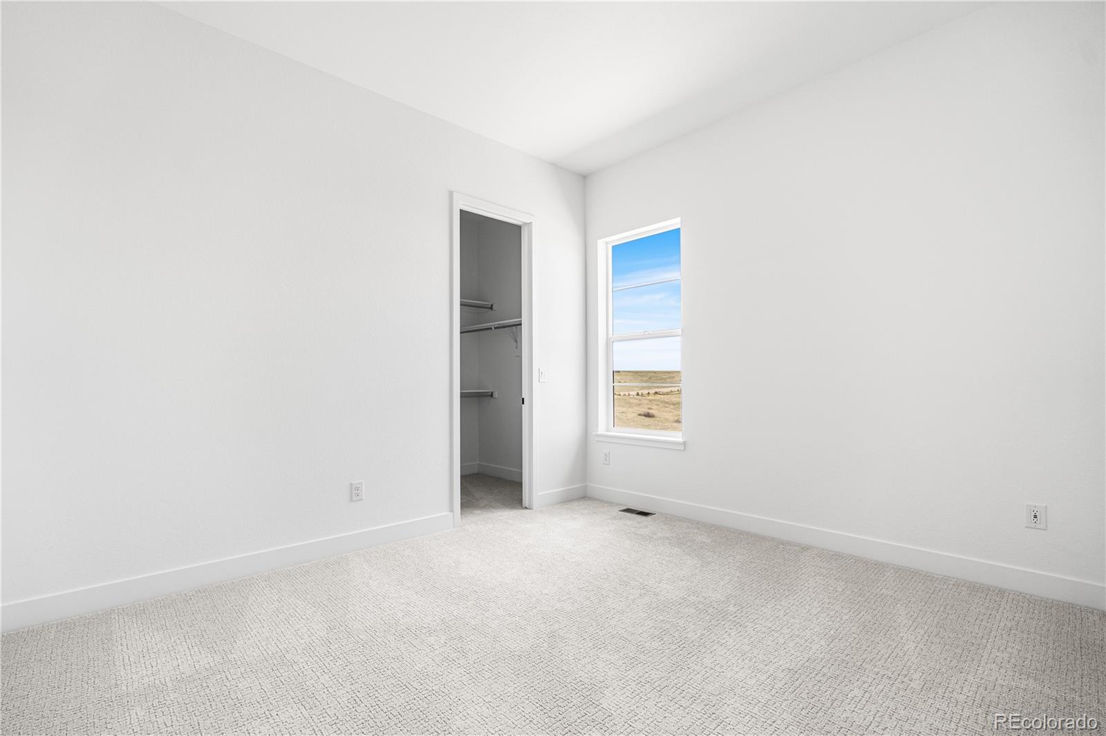 MLS Image #26 for 6845  fawn path way,castle pines, Colorado