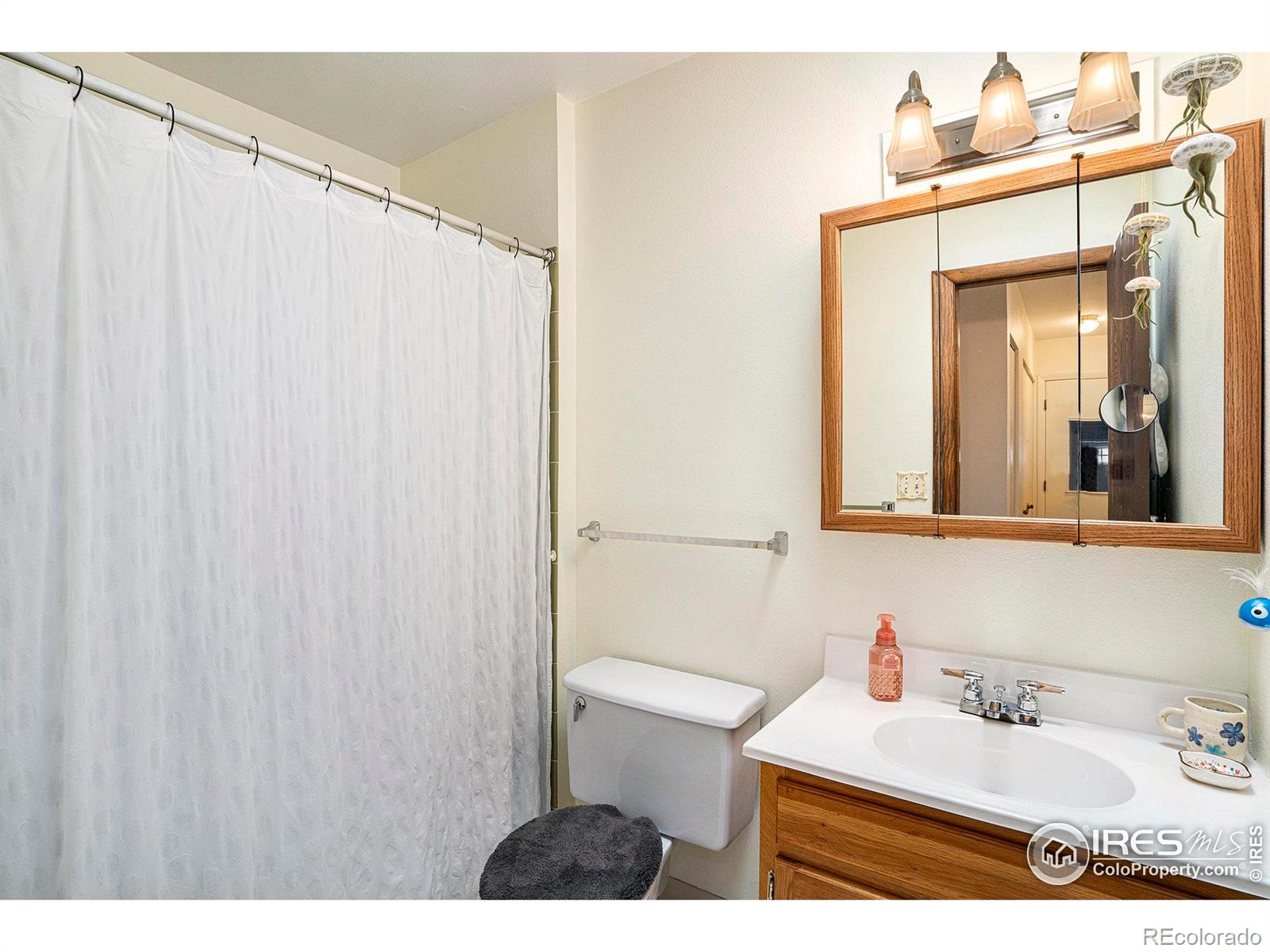 MLS Image #20 for 2814  morgan court,fort collins, Colorado