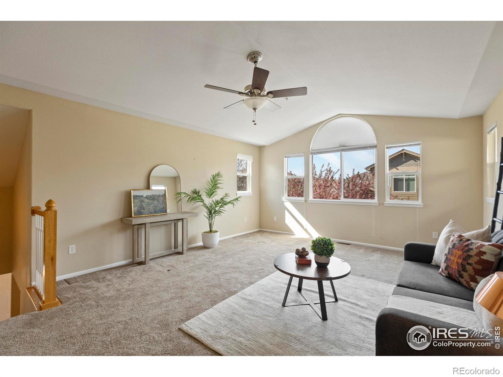 MLS Image #21 for 2608  kansas drive,fort collins, Colorado