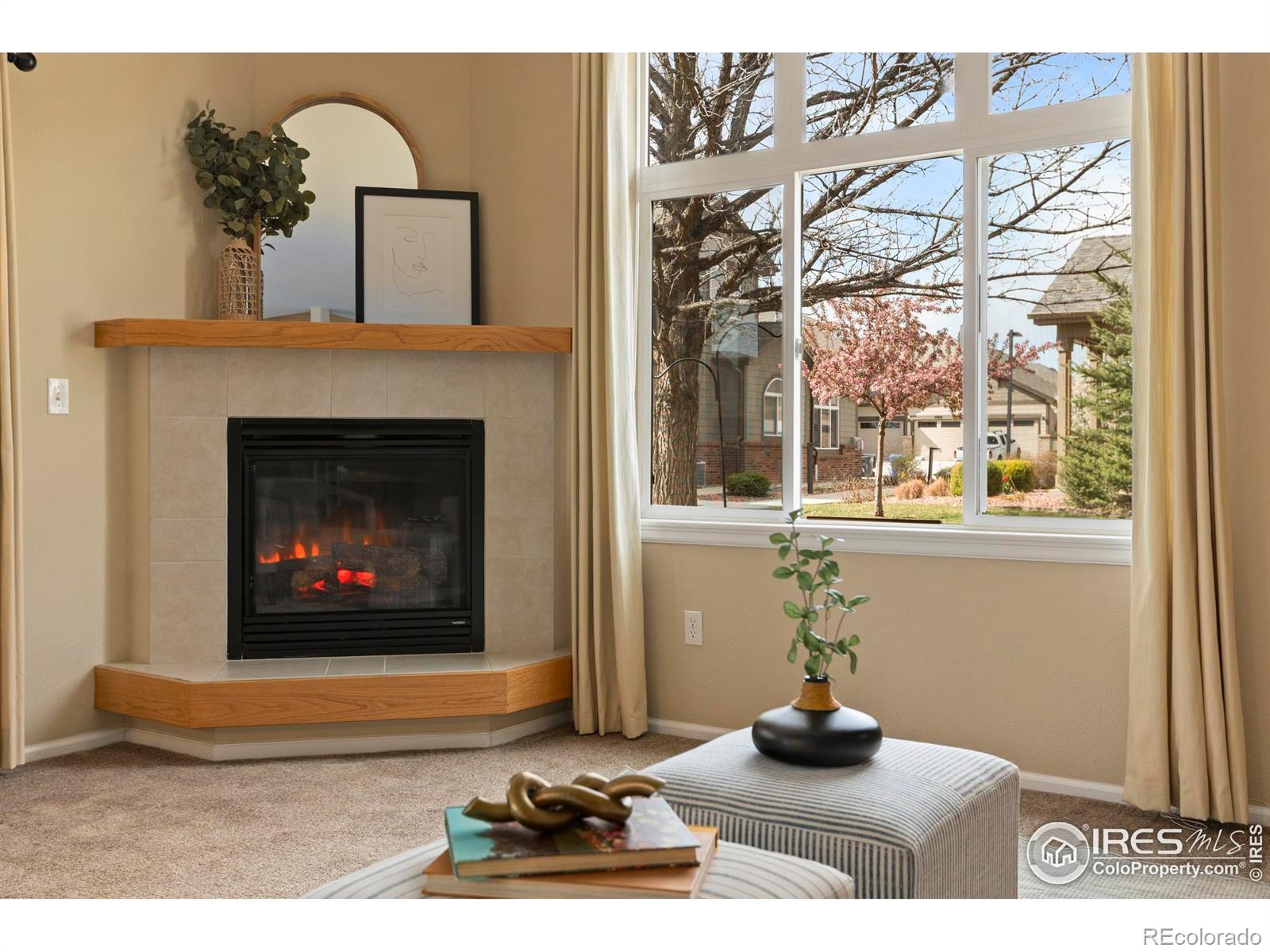 MLS Image #7 for 2608  kansas drive,fort collins, Colorado