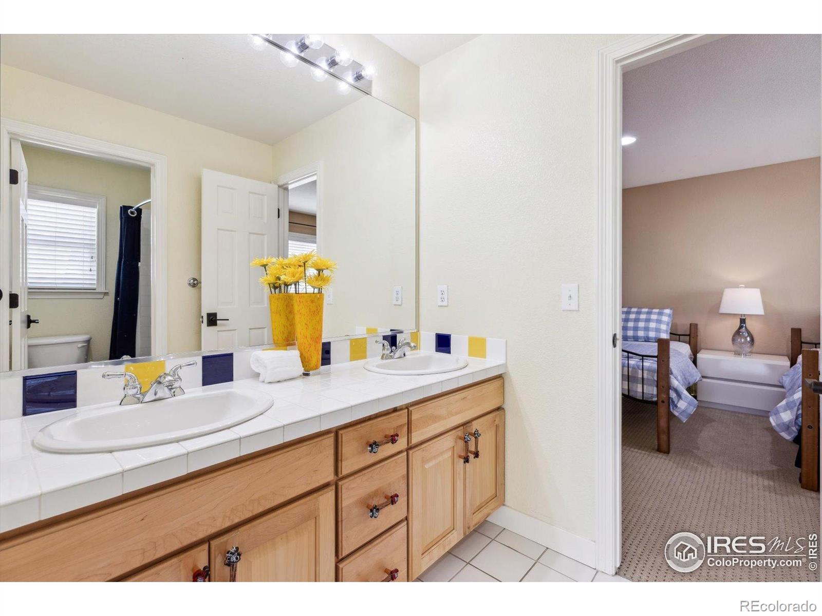 MLS Image #20 for 726  mourning dove lane,golden, Colorado