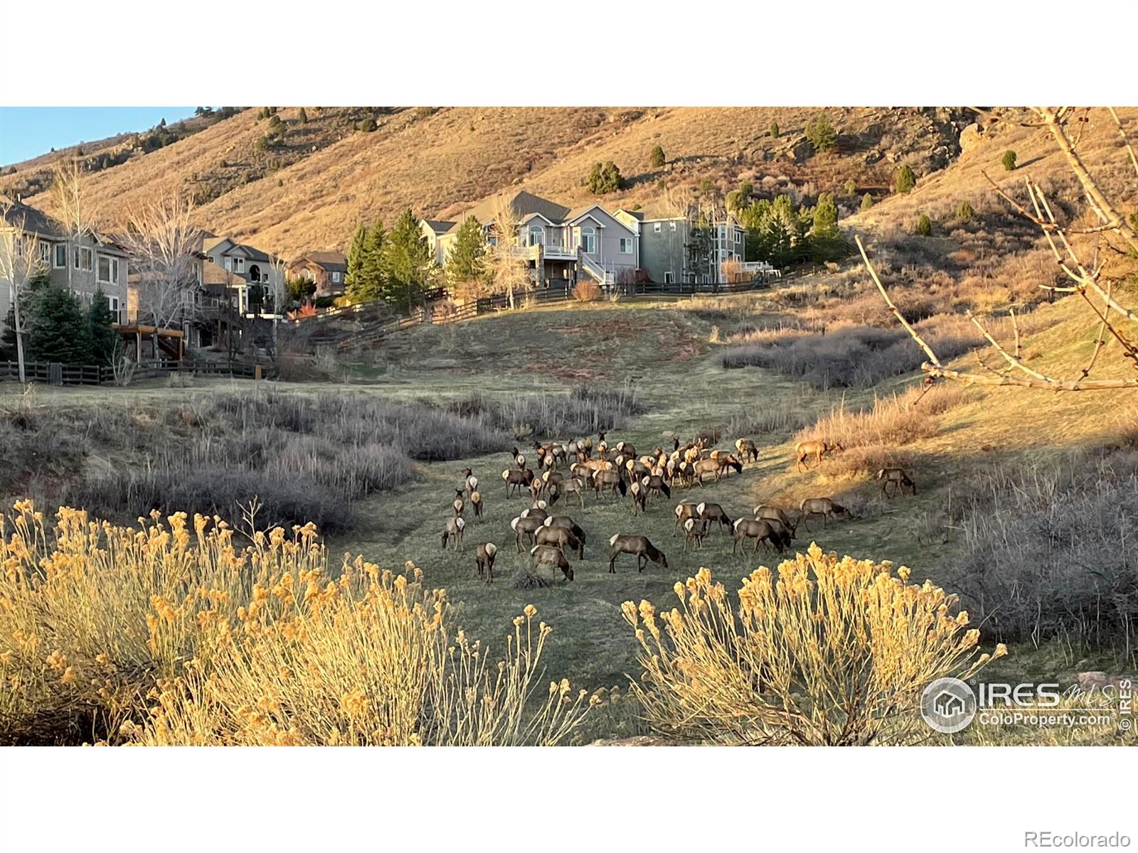 MLS Image #28 for 726  mourning dove lane,golden, Colorado
