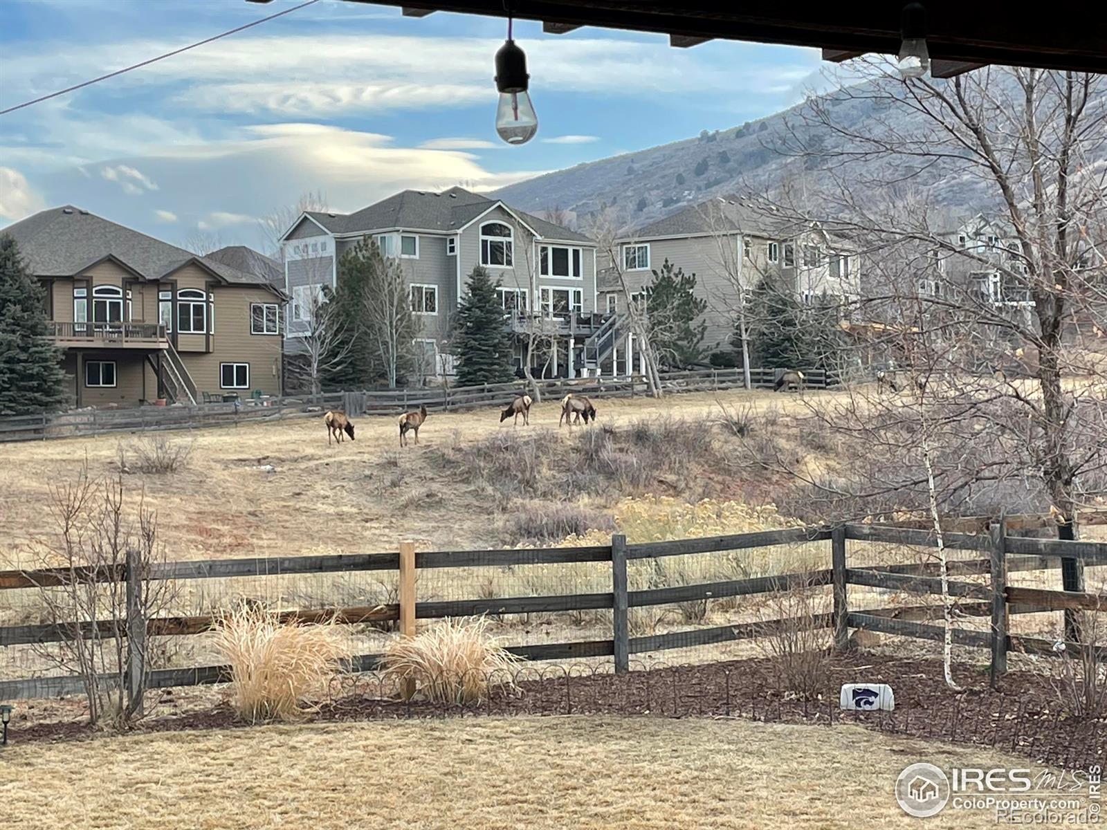 MLS Image #34 for 726  mourning dove lane,golden, Colorado