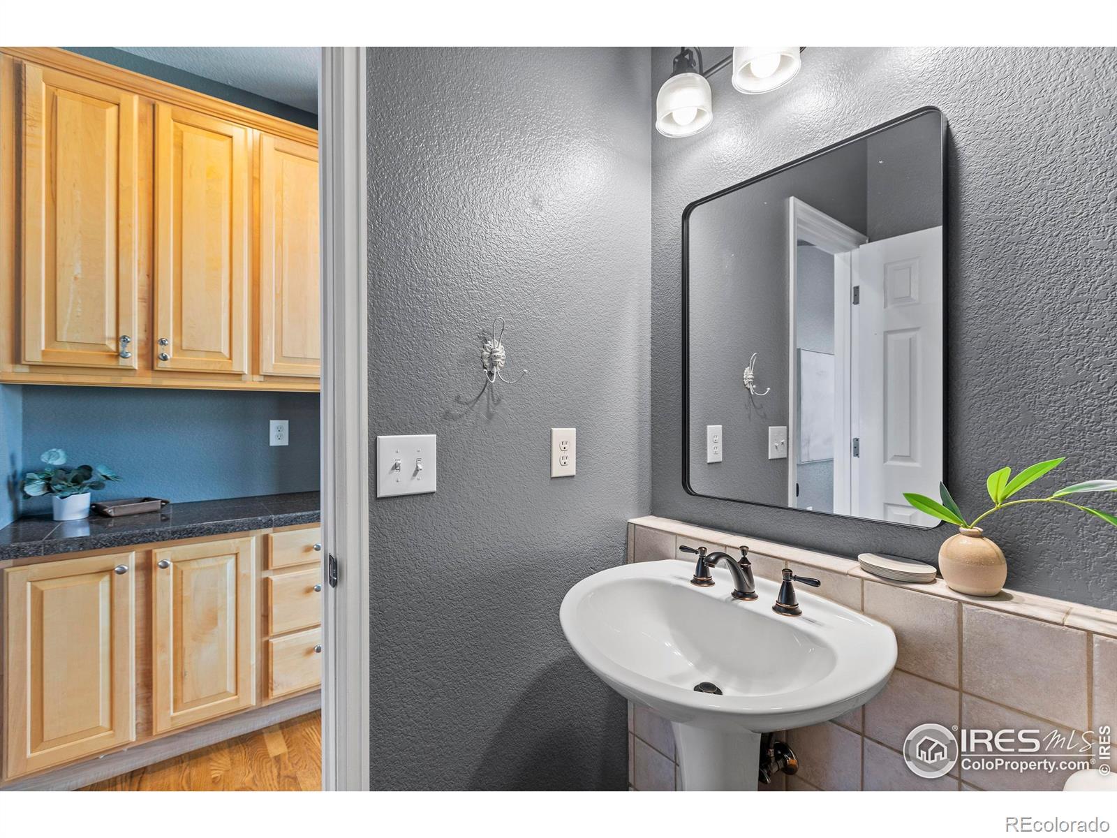 MLS Image #11 for 231  mulligan lake drive,mead, Colorado