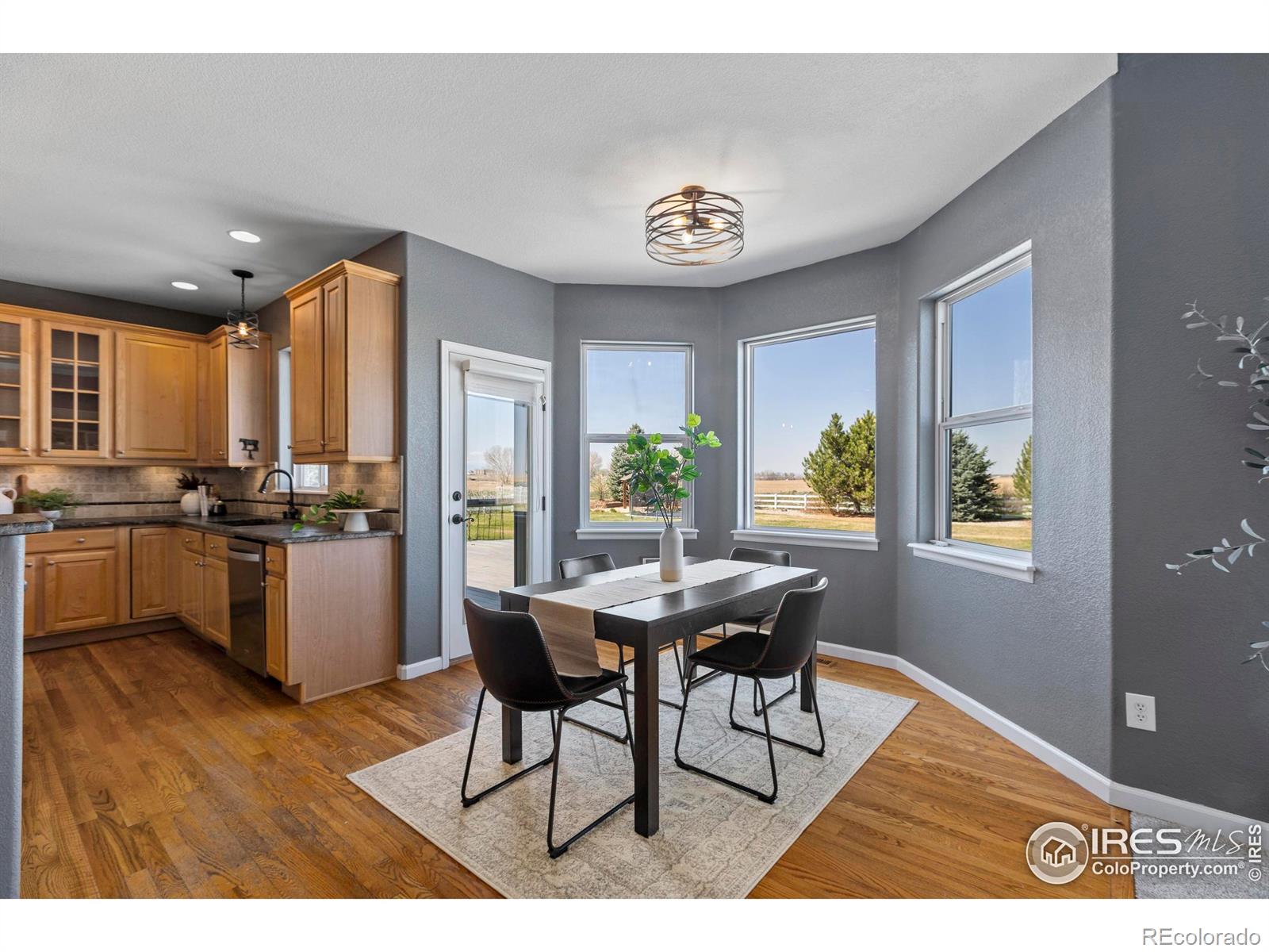 MLS Image #12 for 231  mulligan lake drive,mead, Colorado