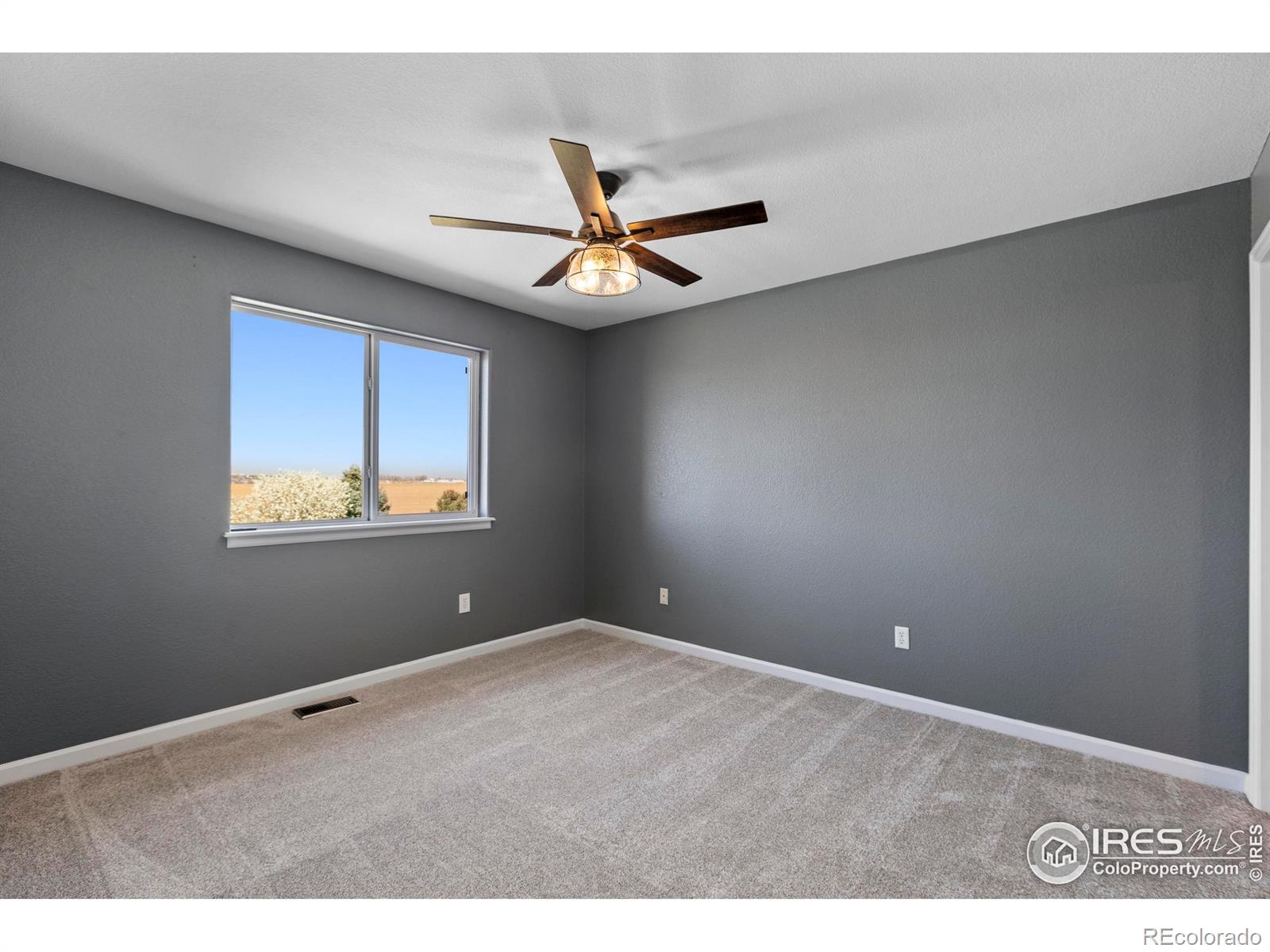 MLS Image #24 for 231  mulligan lake drive,mead, Colorado