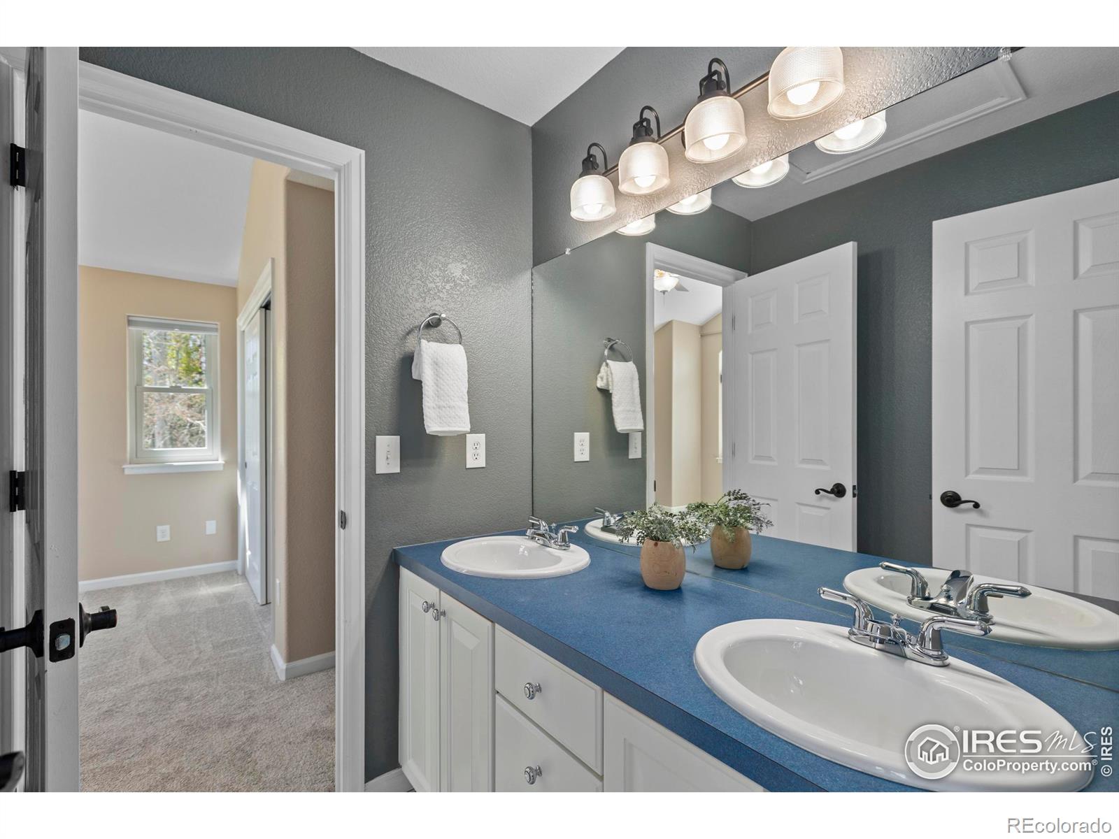 MLS Image #25 for 231  mulligan lake drive,mead, Colorado