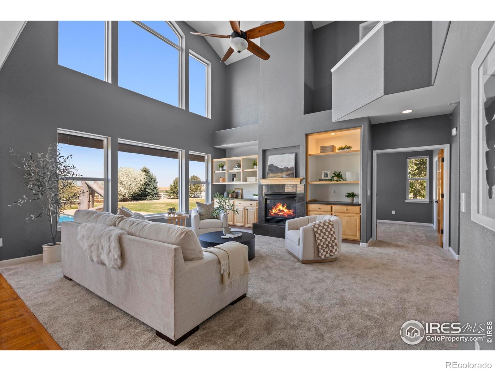 MLS Image #8 for 231  mulligan lake drive,mead, Colorado