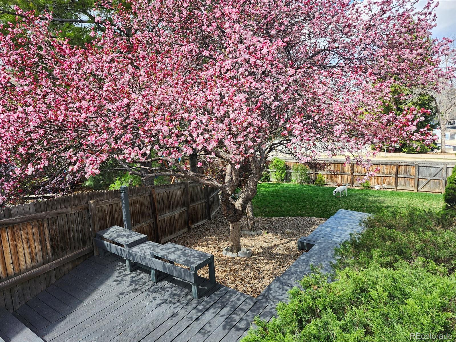 MLS Image #31 for 2533 w 110th avenue,westminster, Colorado