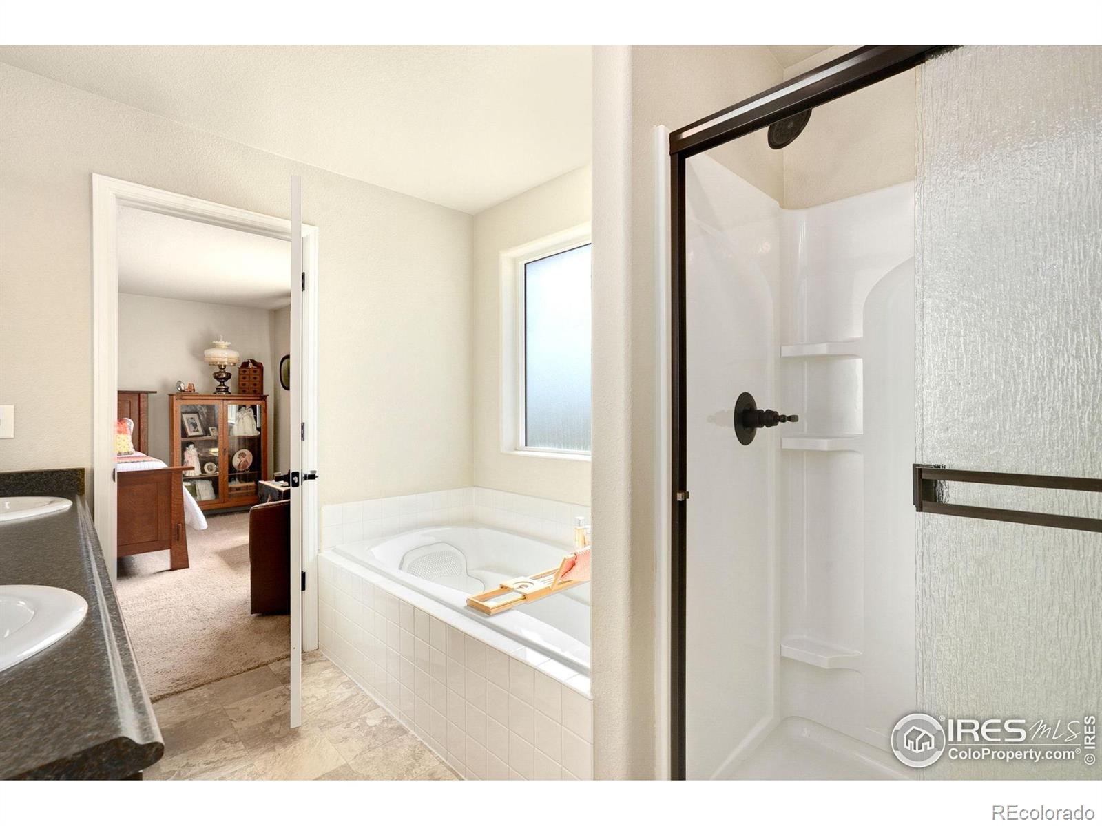 MLS Image #20 for 1317  chamois drive,severance, Colorado