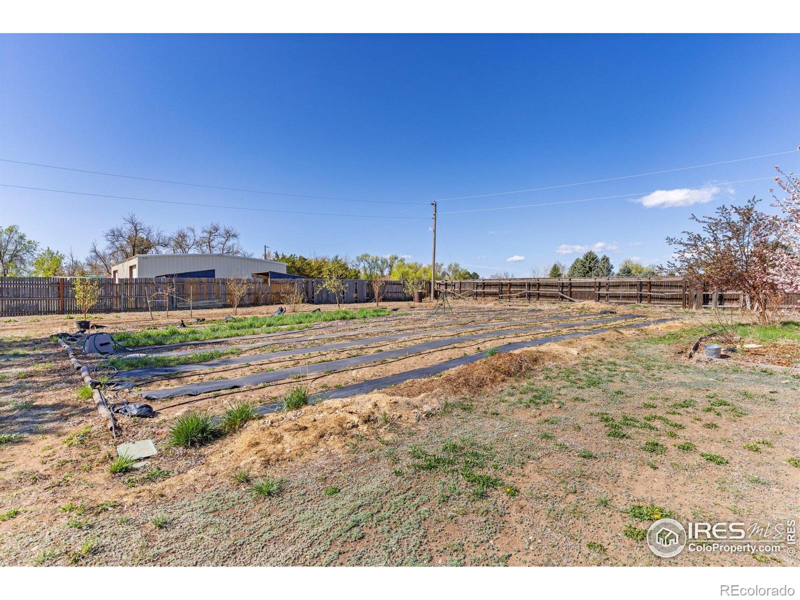 MLS Image #29 for 9951  sierra vista road,longmont, Colorado