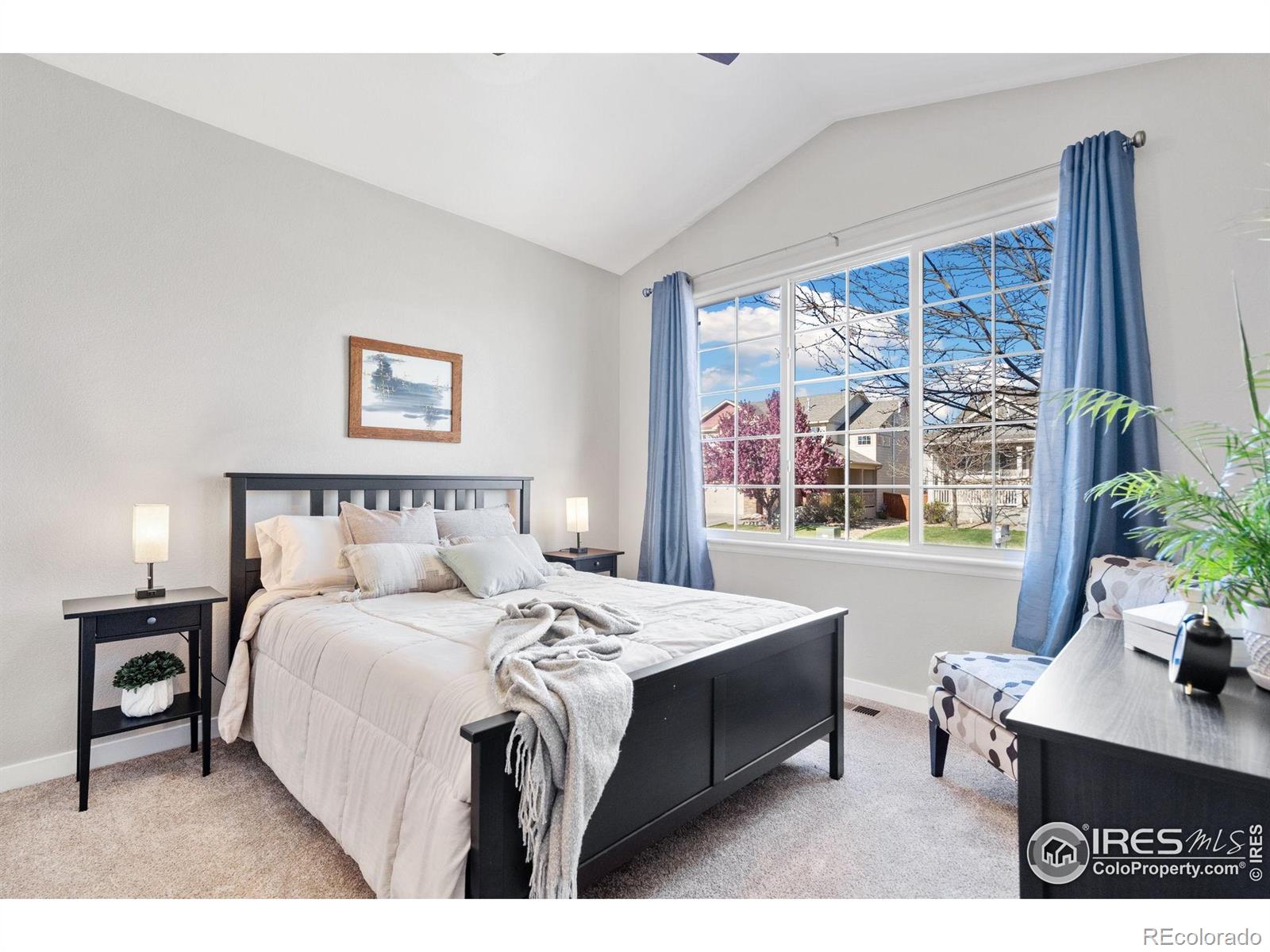 MLS Image #12 for 4910  laporte avenue,loveland, Colorado