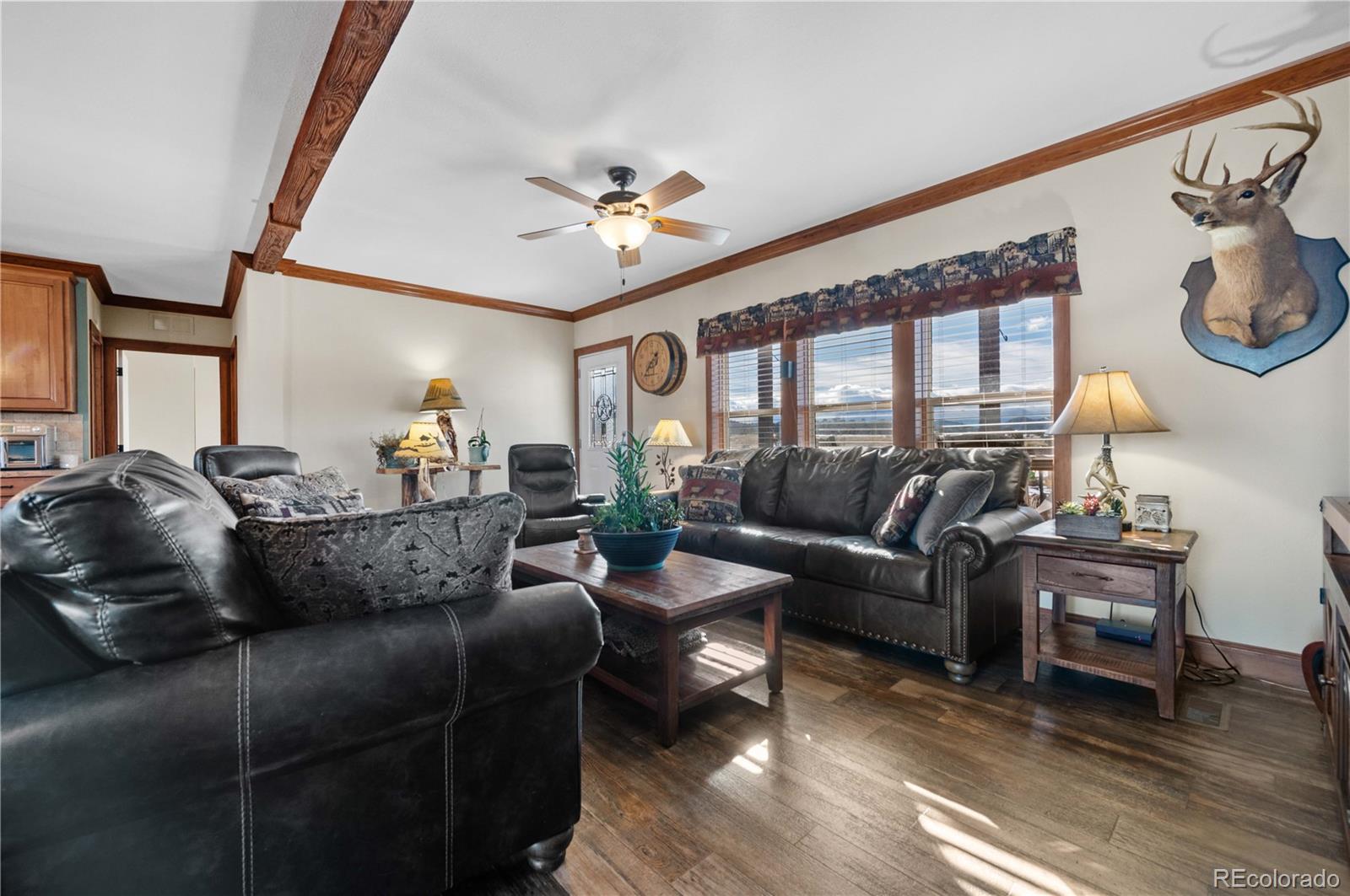 MLS Image #13 for 473  gibbons trailway ,cotopaxi, Colorado