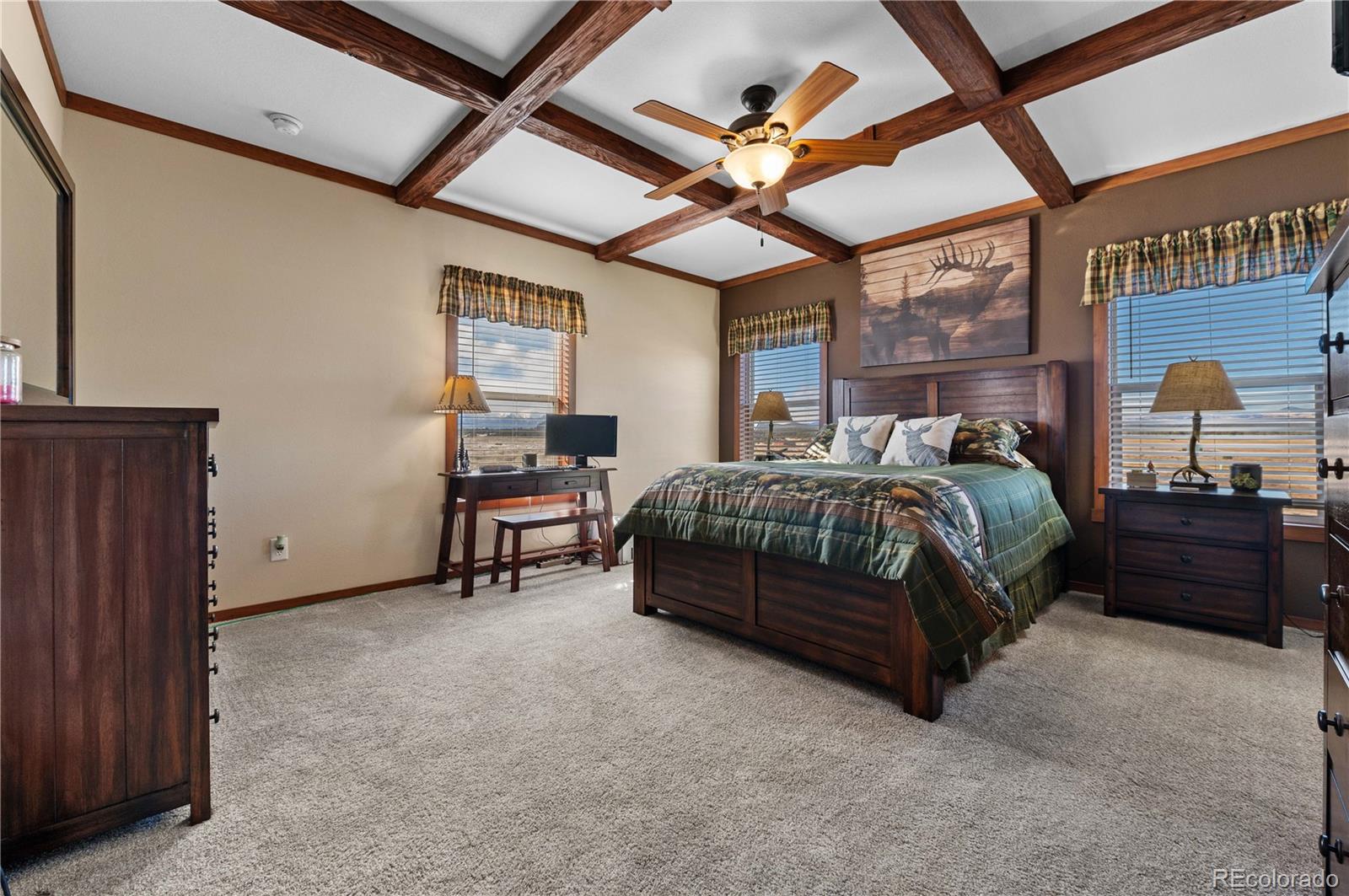 MLS Image #16 for 473  gibbons trailway ,cotopaxi, Colorado