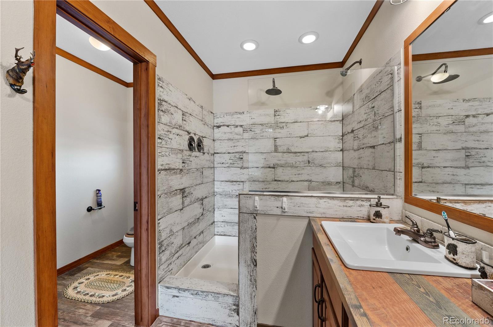 MLS Image #20 for 473  gibbons trailway ,cotopaxi, Colorado