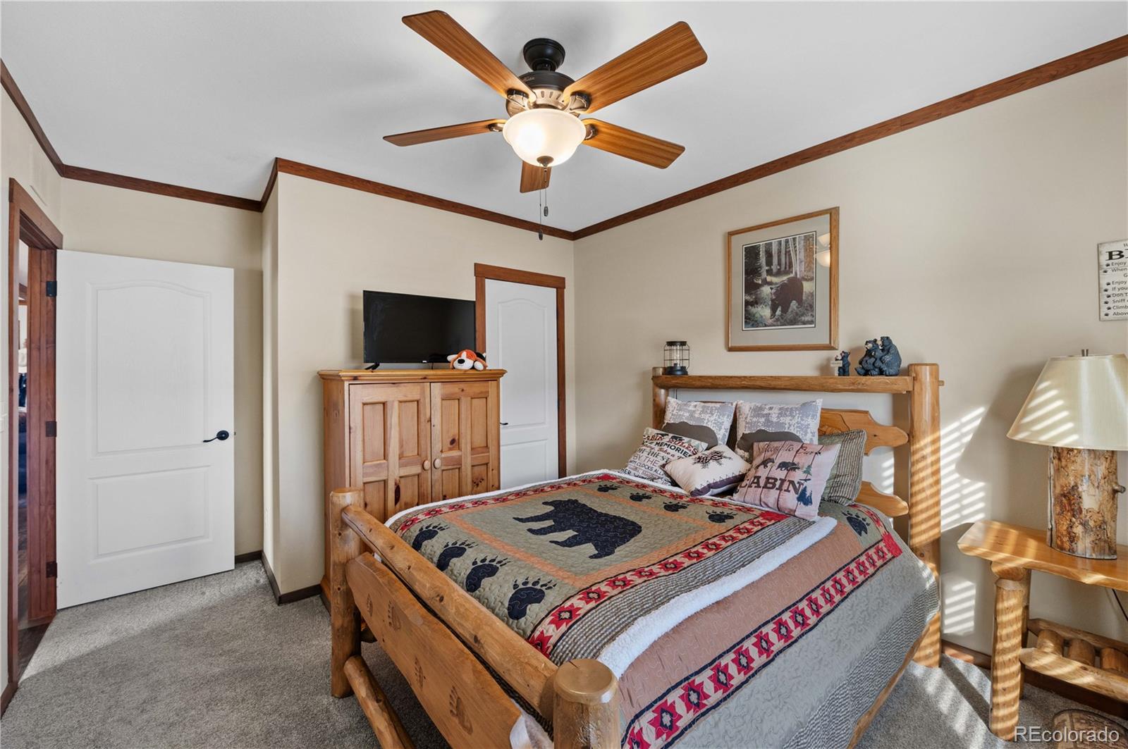 MLS Image #23 for 473  gibbons trailway ,cotopaxi, Colorado