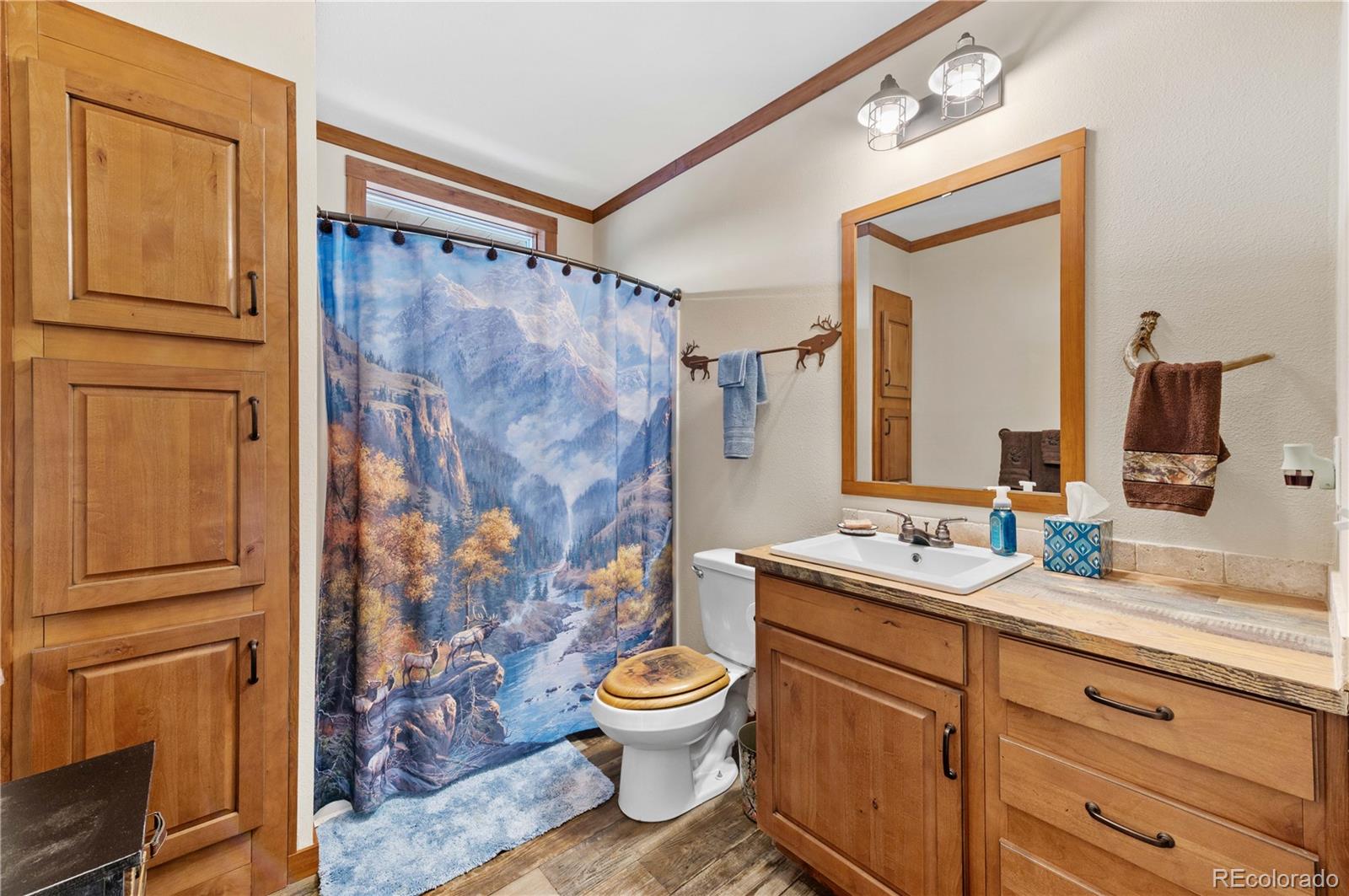 MLS Image #24 for 473  gibbons trailway ,cotopaxi, Colorado