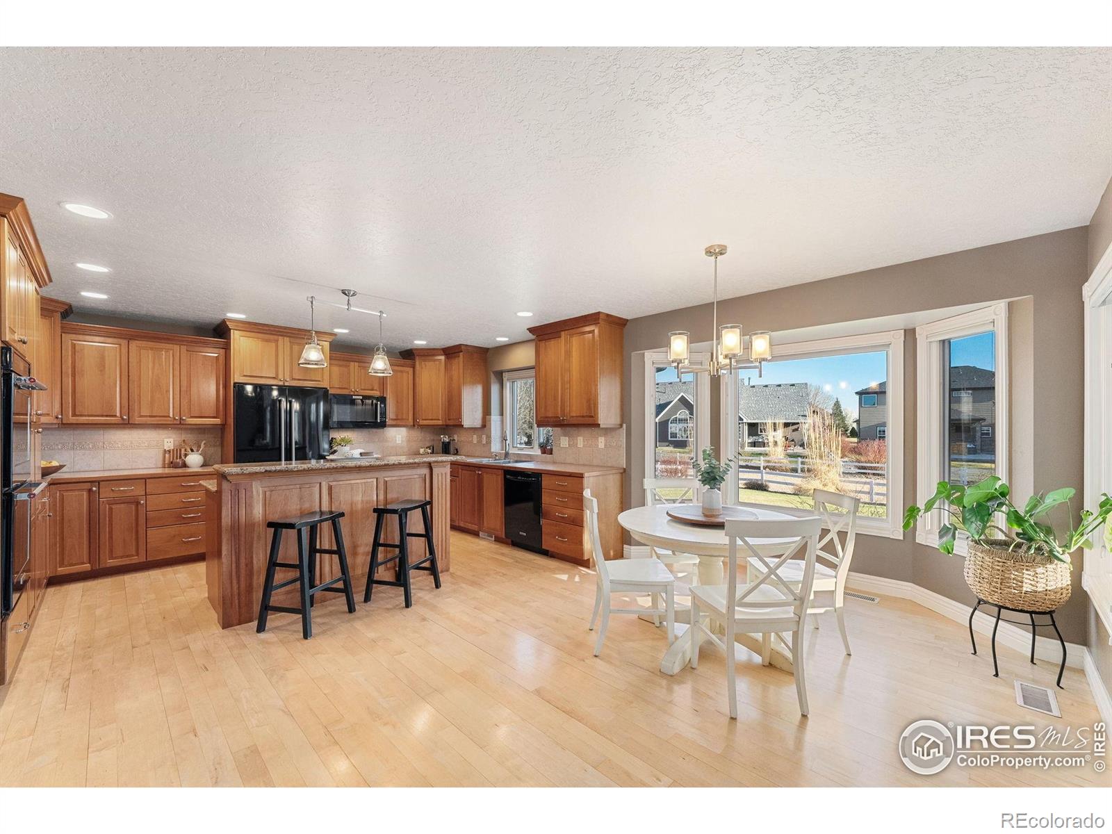 MLS Image #13 for 305  habitat cove,windsor, Colorado