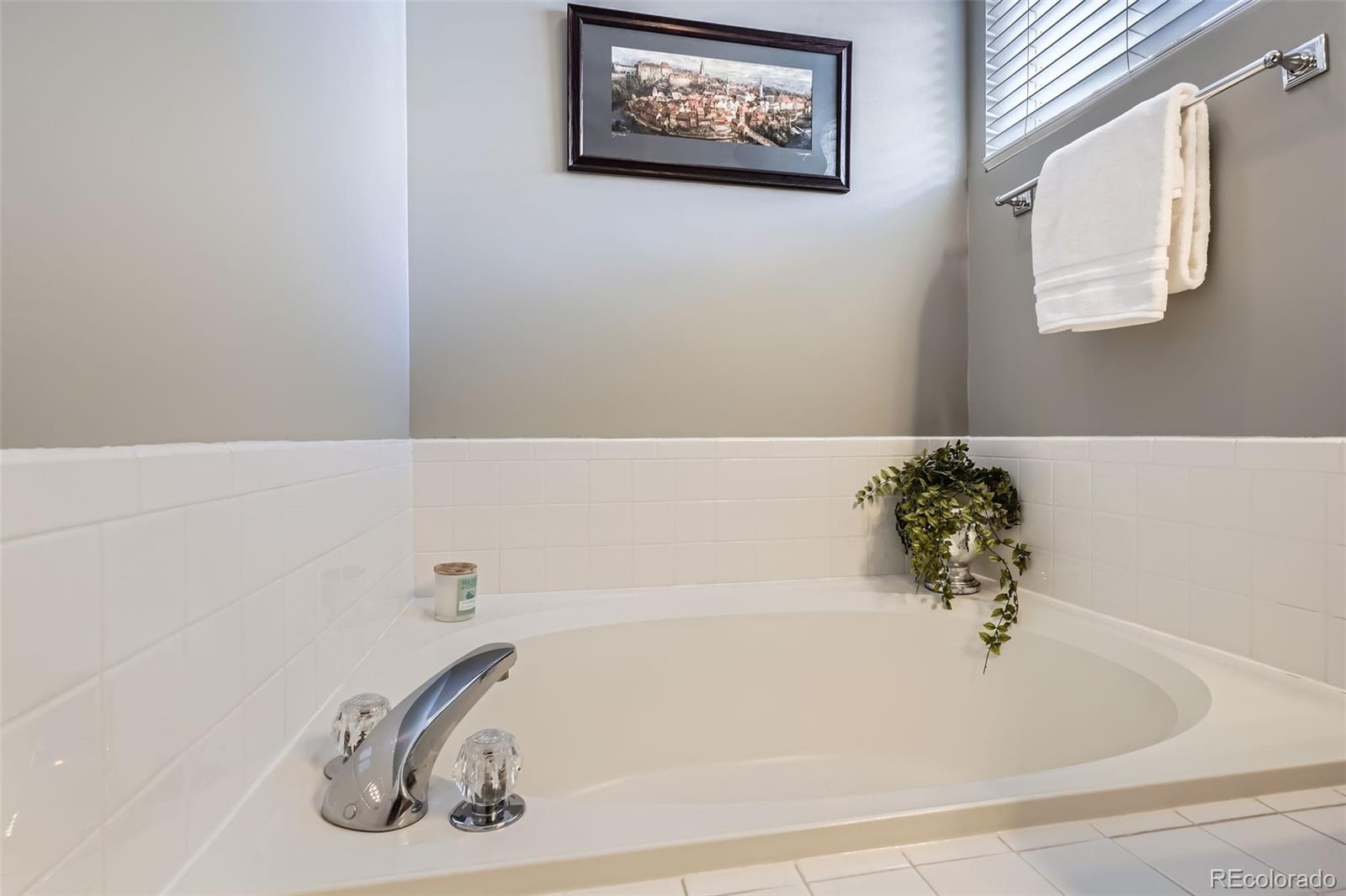 MLS Image #17 for 19131 e crestridge circle,aurora, Colorado