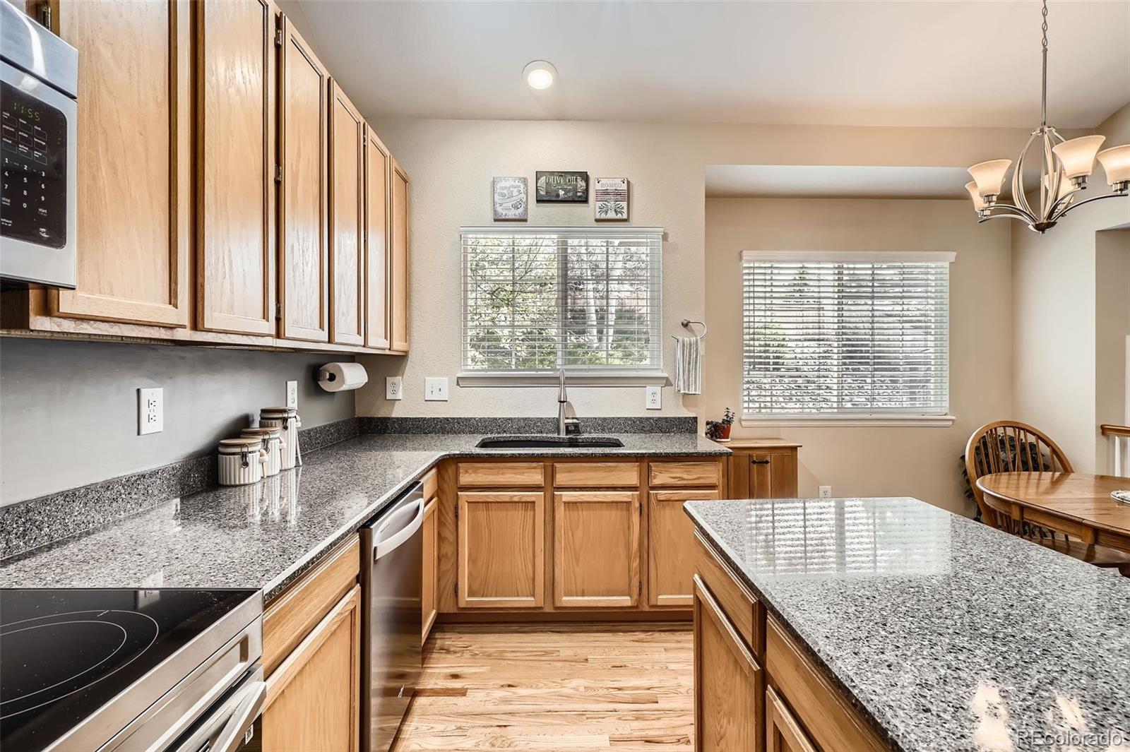 MLS Image #9 for 19131 e crestridge circle,aurora, Colorado