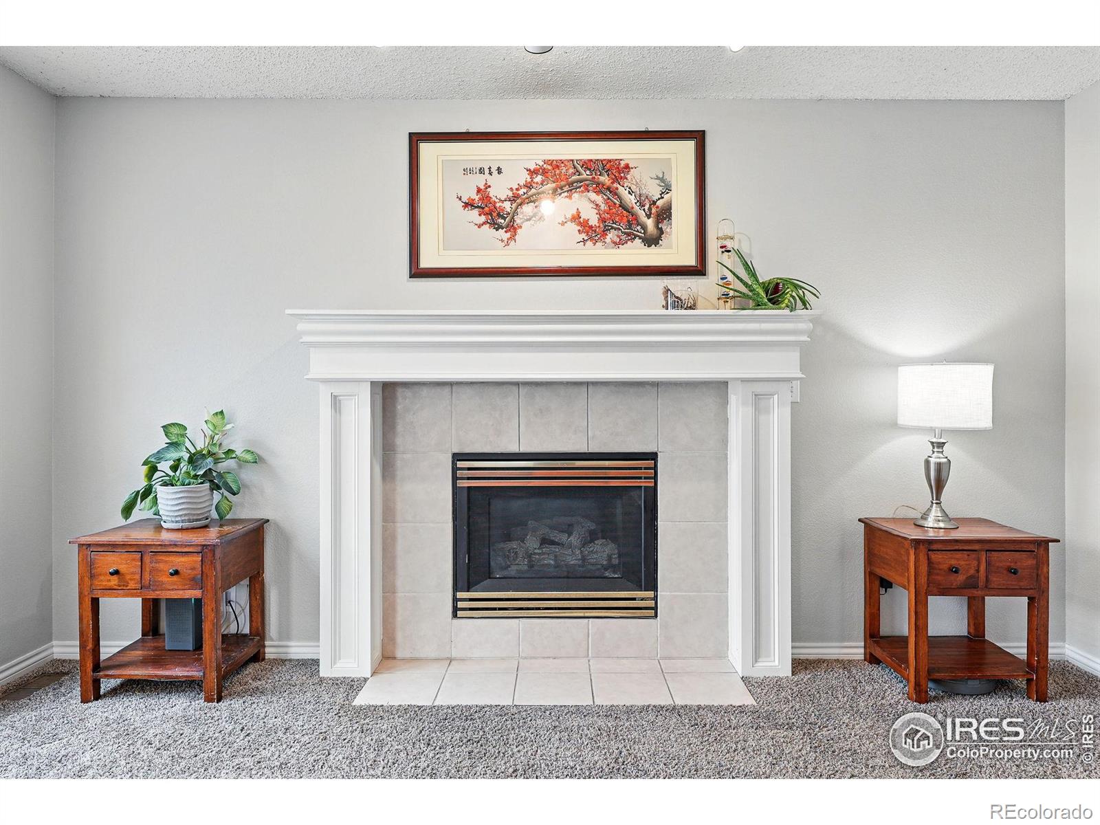 MLS Image #15 for 1528  alpine street,longmont, Colorado
