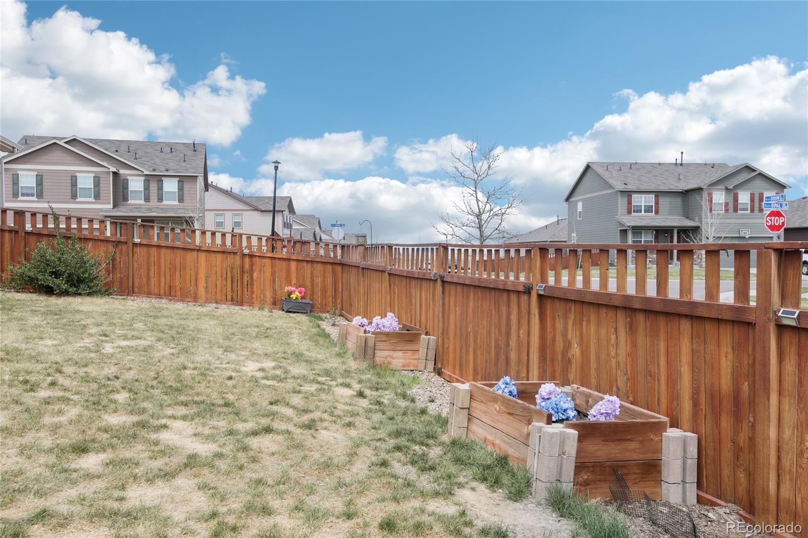 MLS Image #29 for 2122  opal avenue,brighton, Colorado